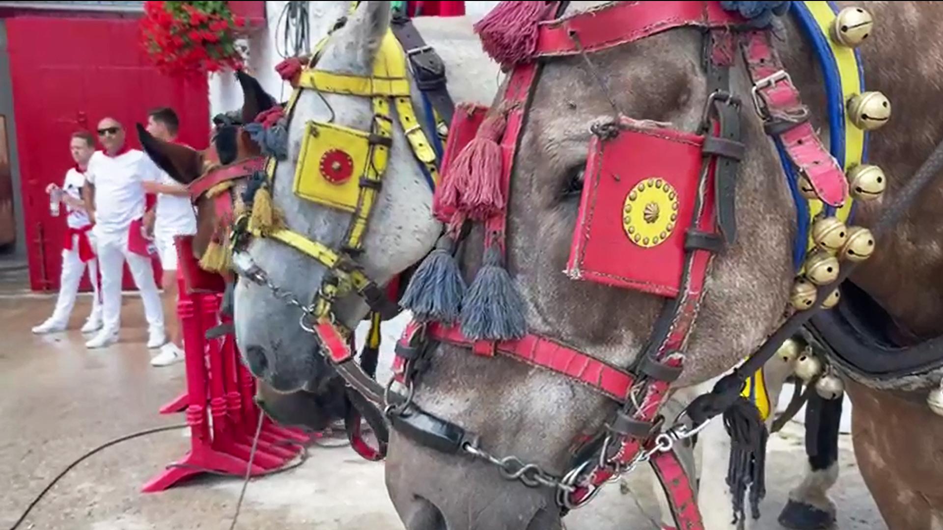 Patio de mulillas y plaza de toros en la previa de la corrida del sábado 8 de julio