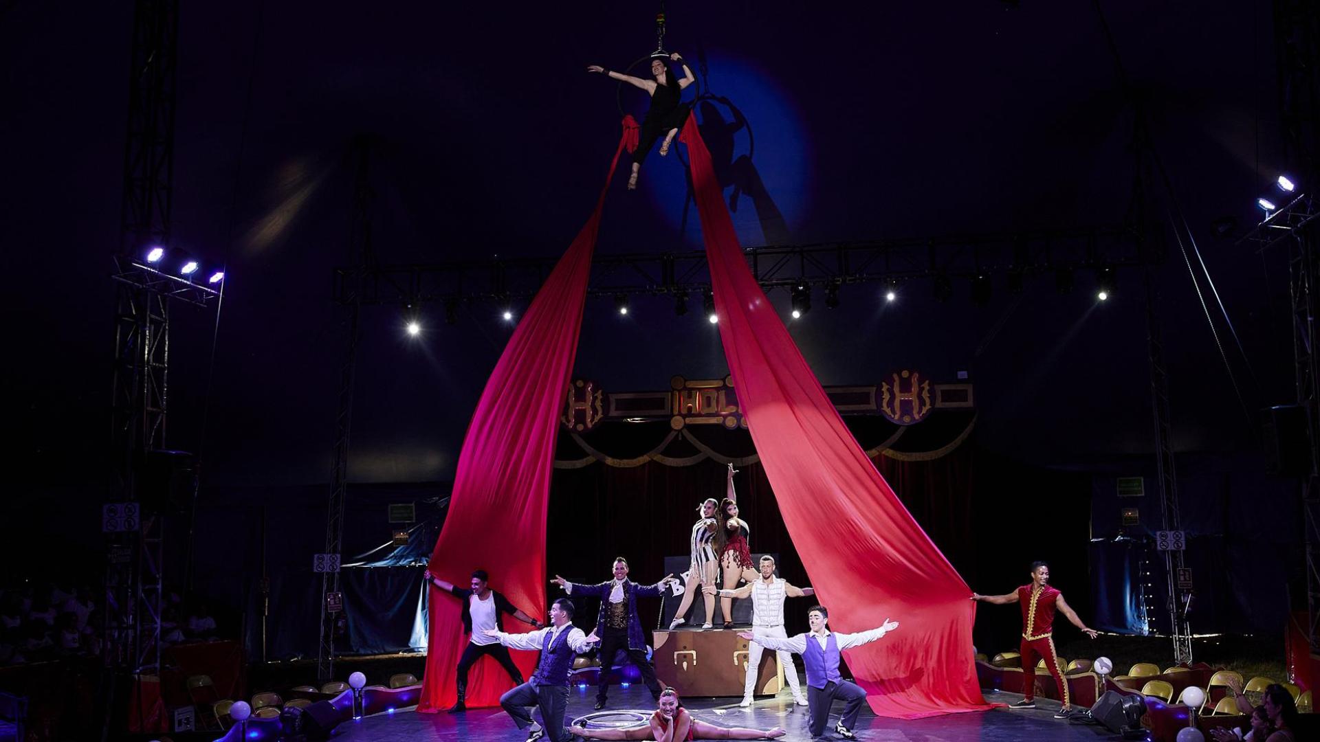 RUBÉN ALBARRÁN
El espectáculo del Gran Circo Holiday cuenta con una oferta variada. Payasos, patinadores, mago. trapecista, contorsionista, entre otros, integran una plantilla que cubre la mayoría de perfiles circenses
