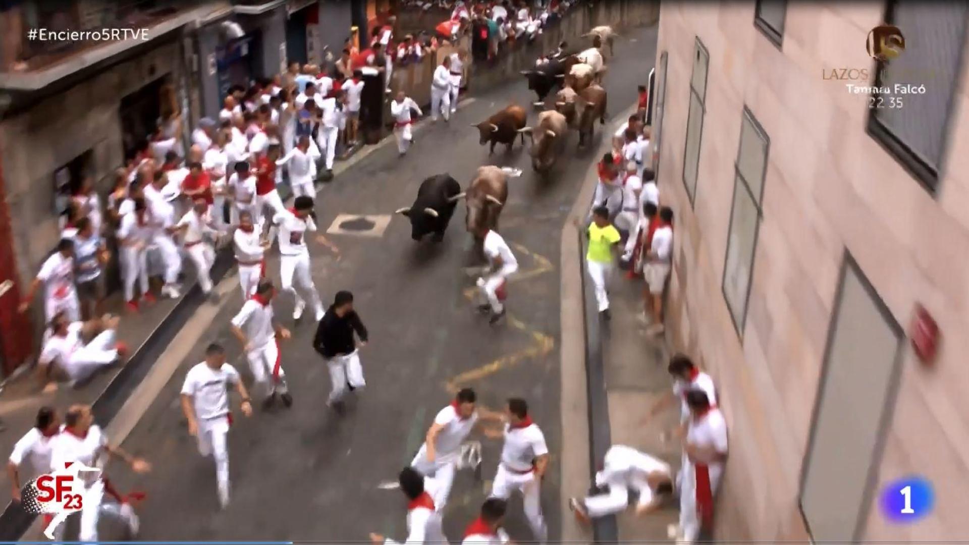Ha sido arrollado por las reses en el quinto encierro de San Fermín