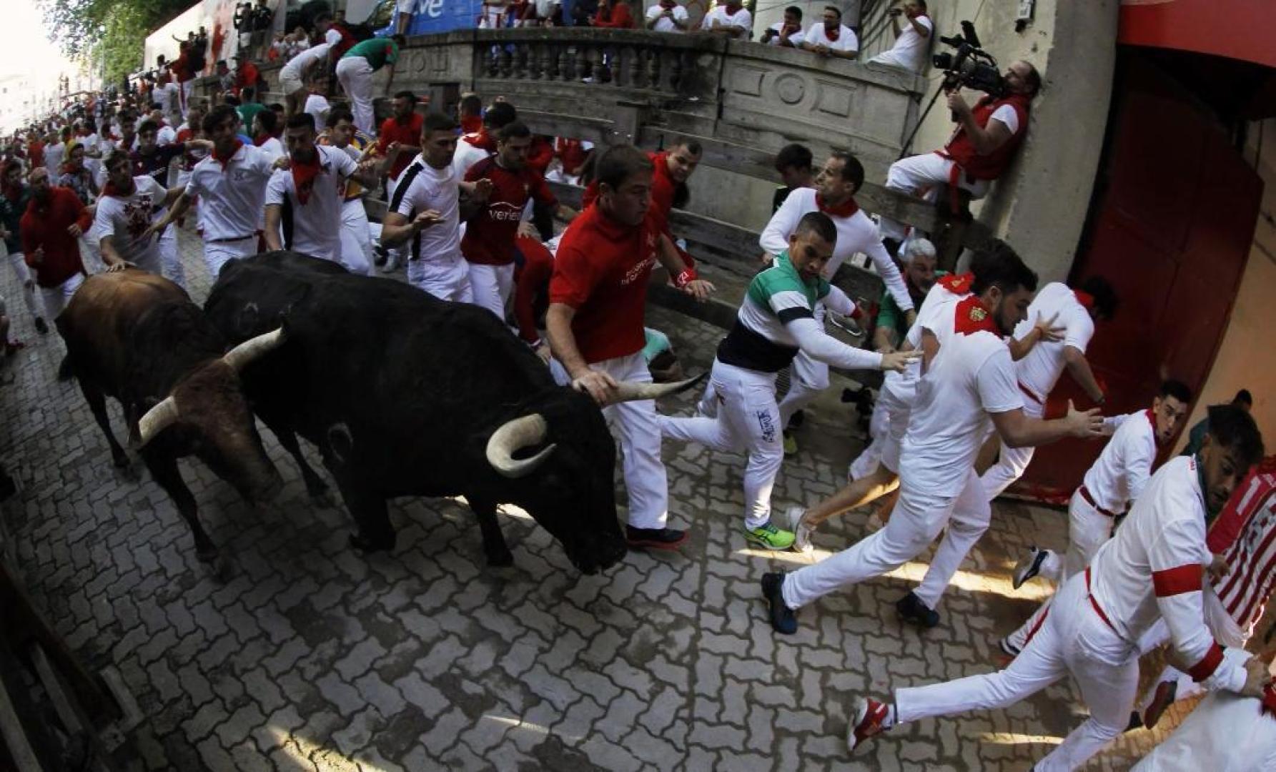 Fugaz entrada de los toros en la plaza grabada por un fotógrafo desde el vallado