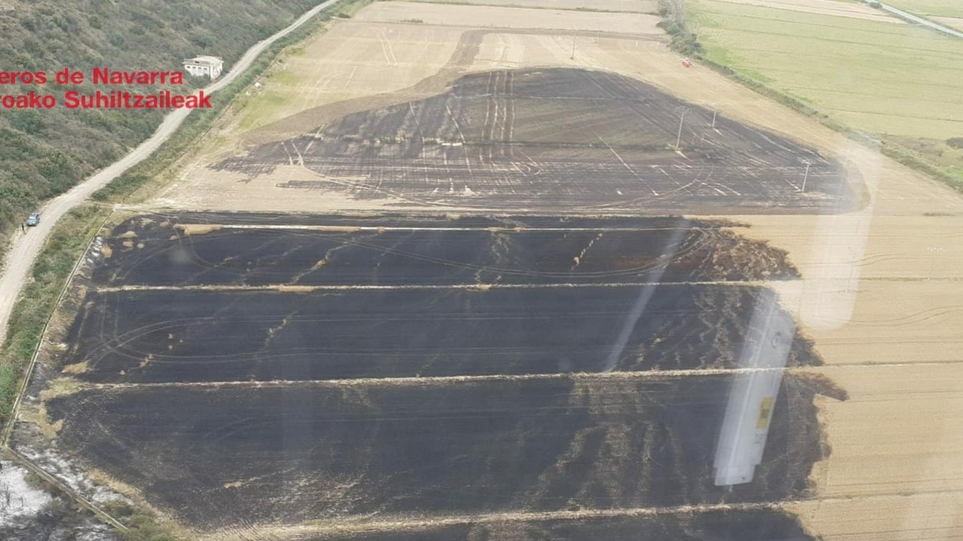 Campo de cereal sin cosechar en la zona de las Teladas de Mélida que ha ardido