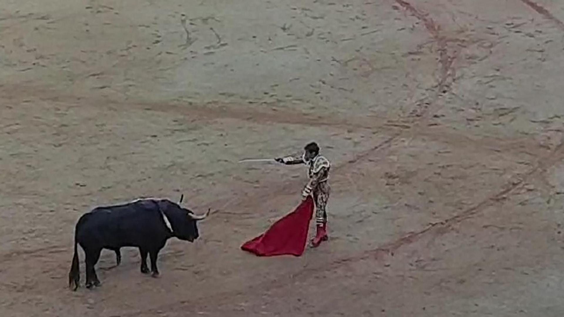 El torero madrileño ha recibido una oreja por su faena a este astado