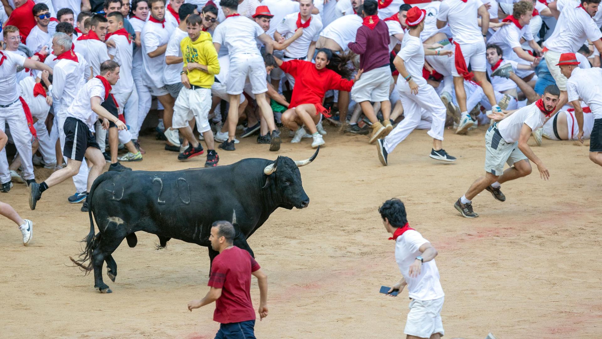 Un toro de Cebada Gago, en la plaza este 9 de julio. El callejón debería estar libre si algún corredor se ve en apuros.