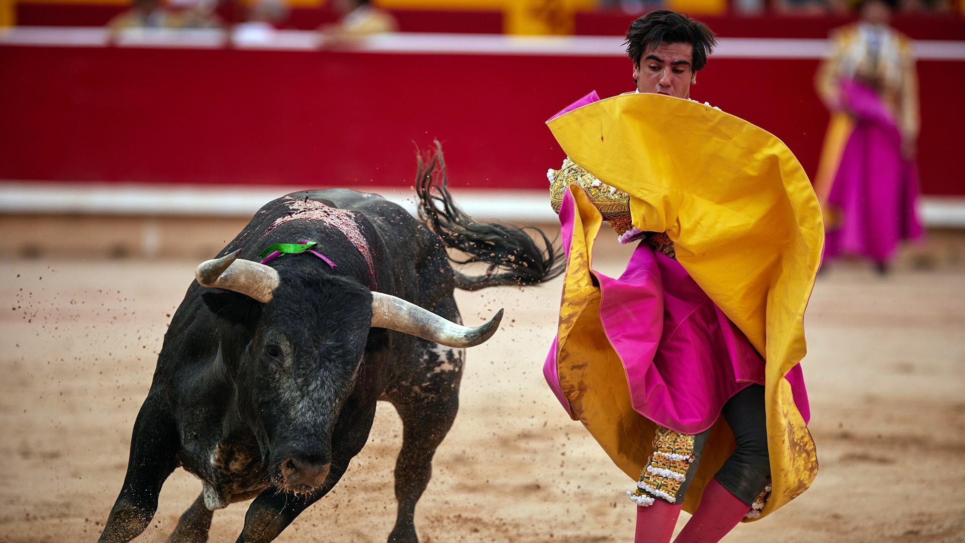 Fotos de la octava y última corrida de la Feria de San Fermín./