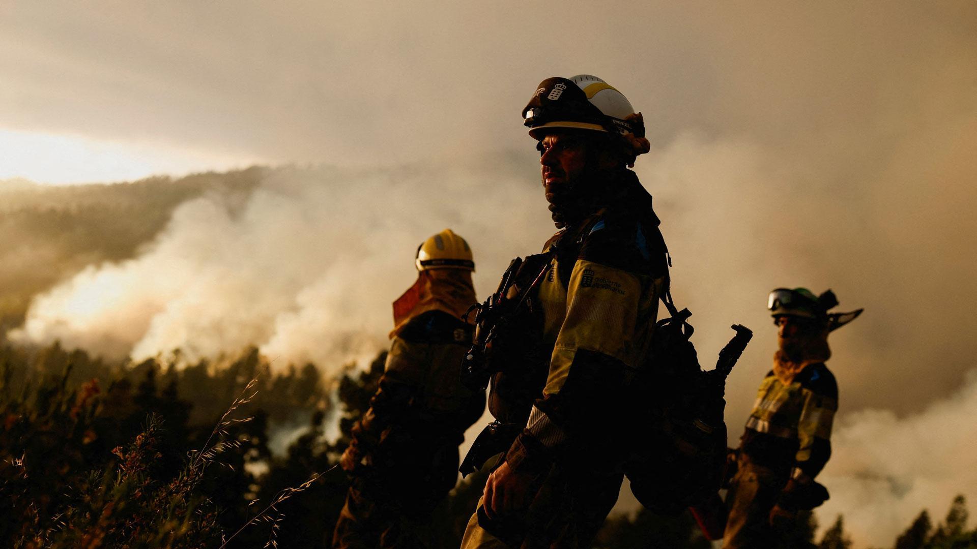 Varios bomberos forestales trabajan en el incendio que afecta a más de 3.600 hectáreas en los municipios de Puntagorda y Tijarafe, en La Palma