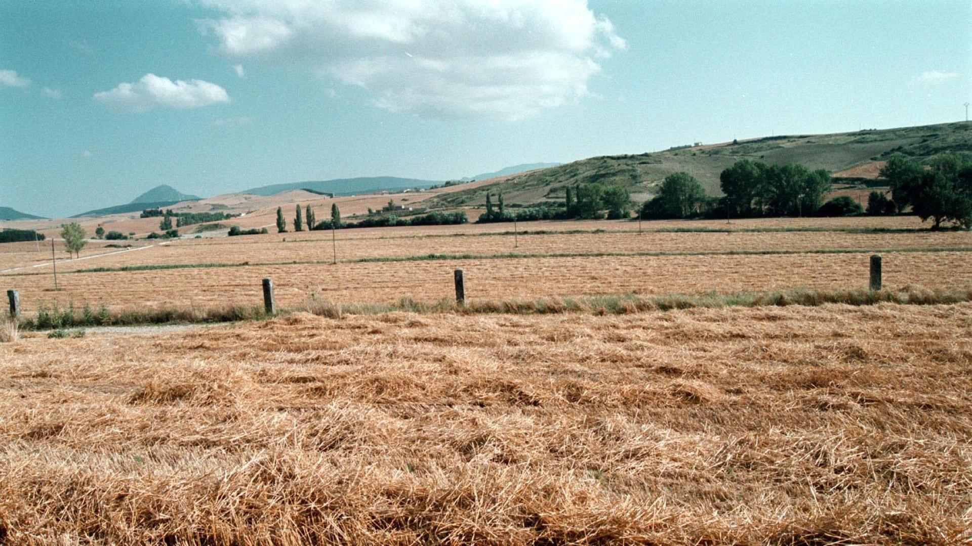 Los terrenos de Sarriguren donde se construirían viviendas