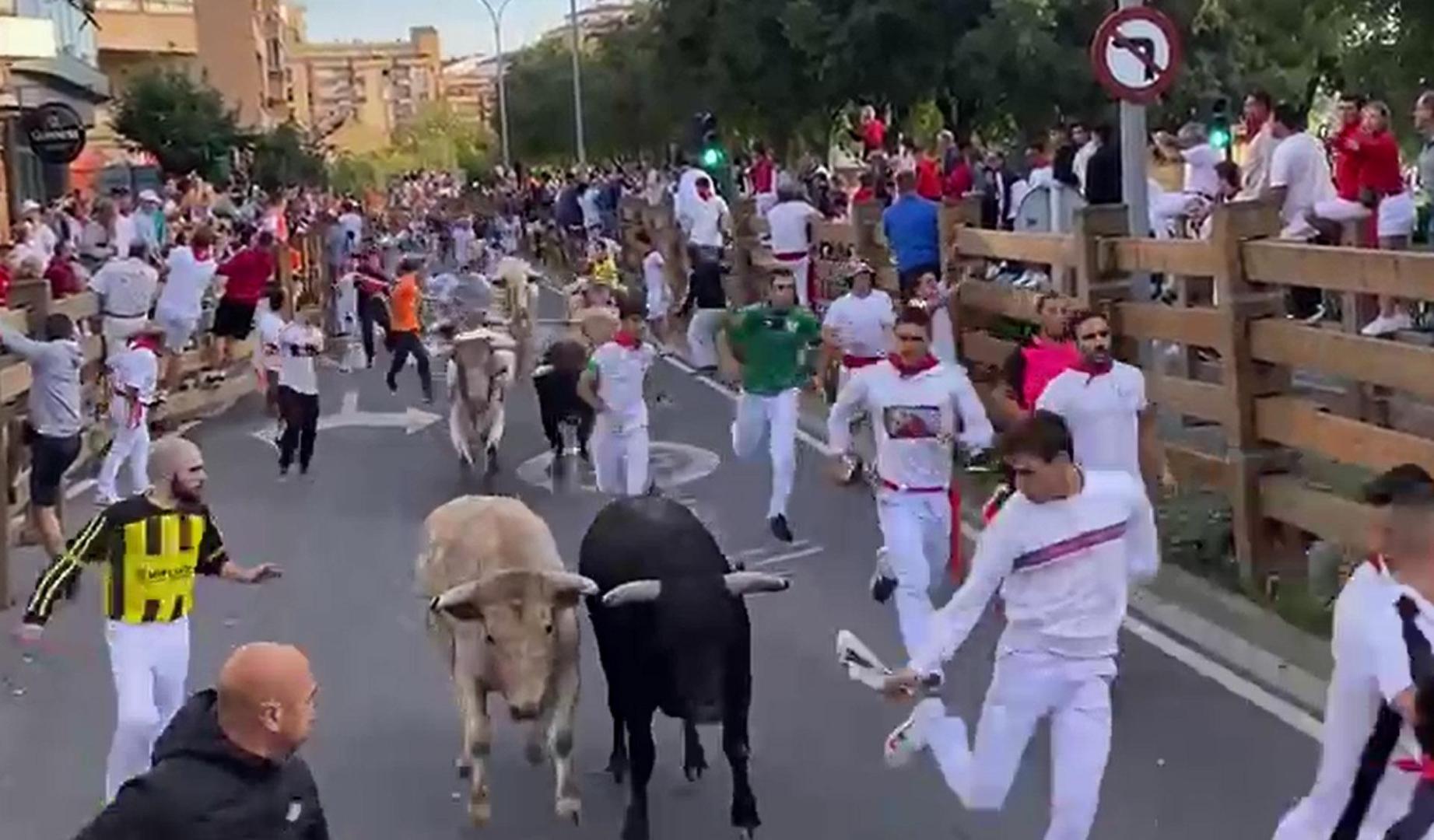 Encierro del 25 de julio de las fiestas de Tudela 2023