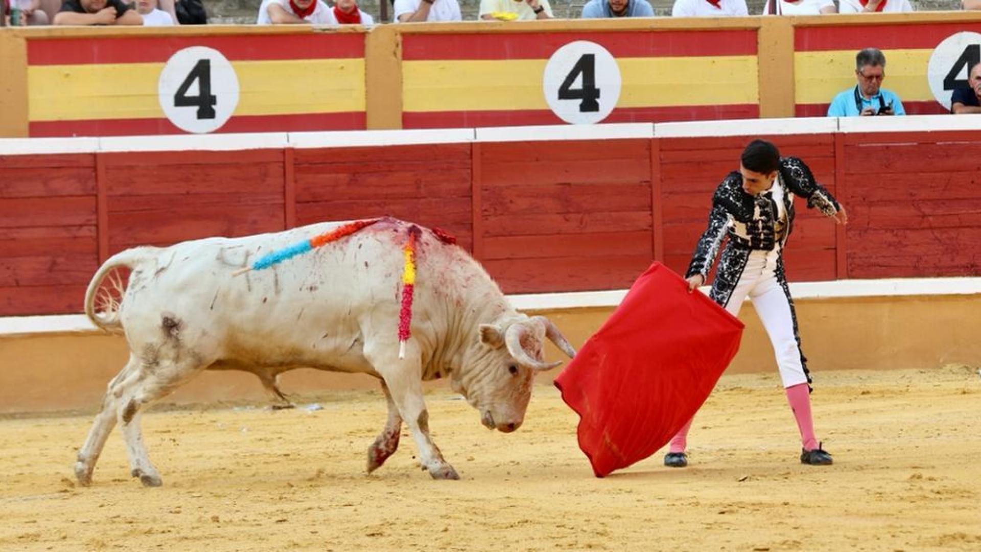 Gran estocada de Fernández de la Puebla a Pajarraco, quinto novillo de Prieto de la Cal al que ha cortado una oreja.