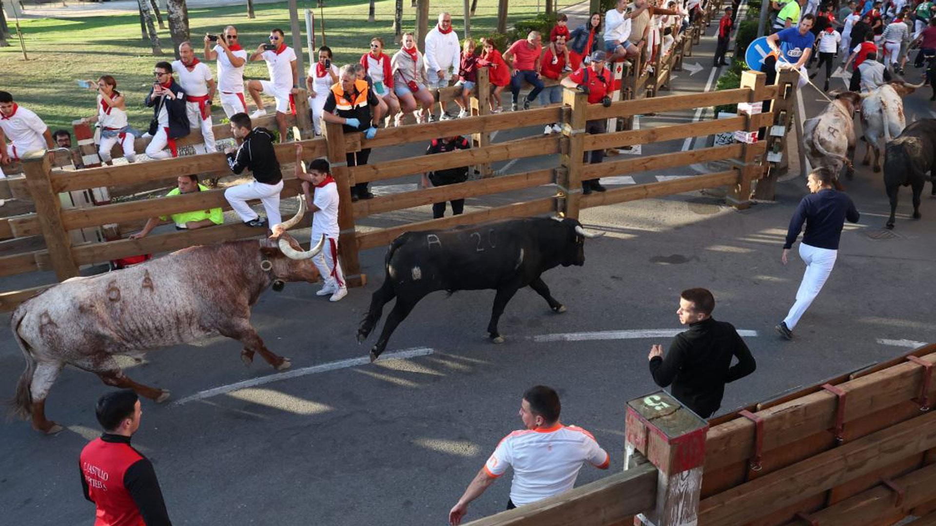 Segundo encierro de las fiestas de Tudela 2023