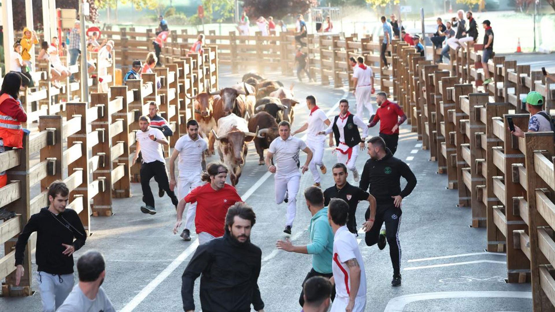 Vídeo del tercer encierro de las fiestas de Tudela 2023
