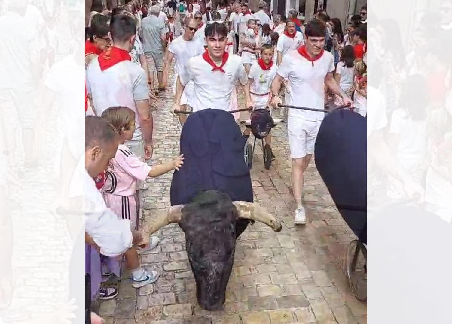 A partir de las 12.30 horas de este viernes se ha celebrado en la calle Rúa de Tudela el encierro infantil, dentro del programa de sus fiestas patronales 2023. El acto, con toros simulados, lo organiza la Orden del Volatín.