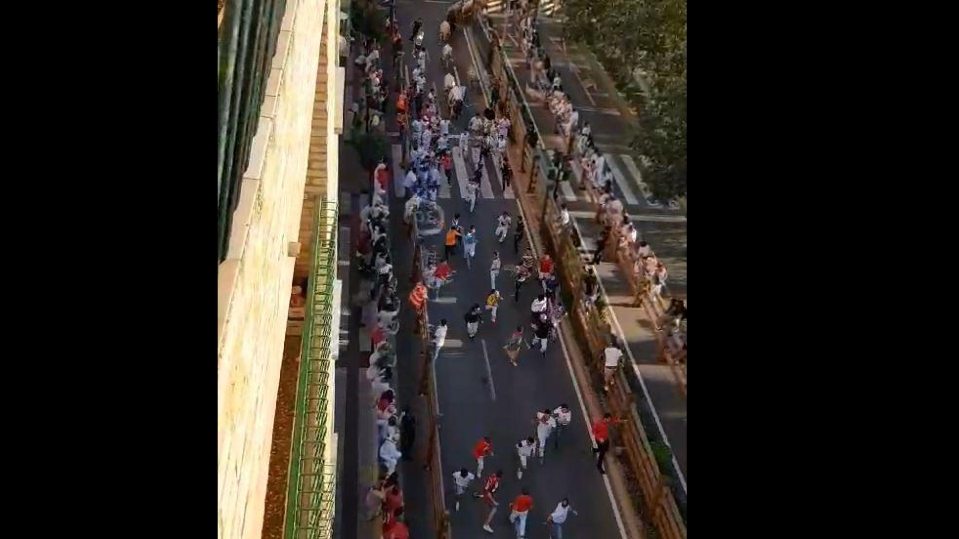 El sexto encierro de las fiestas de Tudela, a su paso pro la avenida Zaragoza