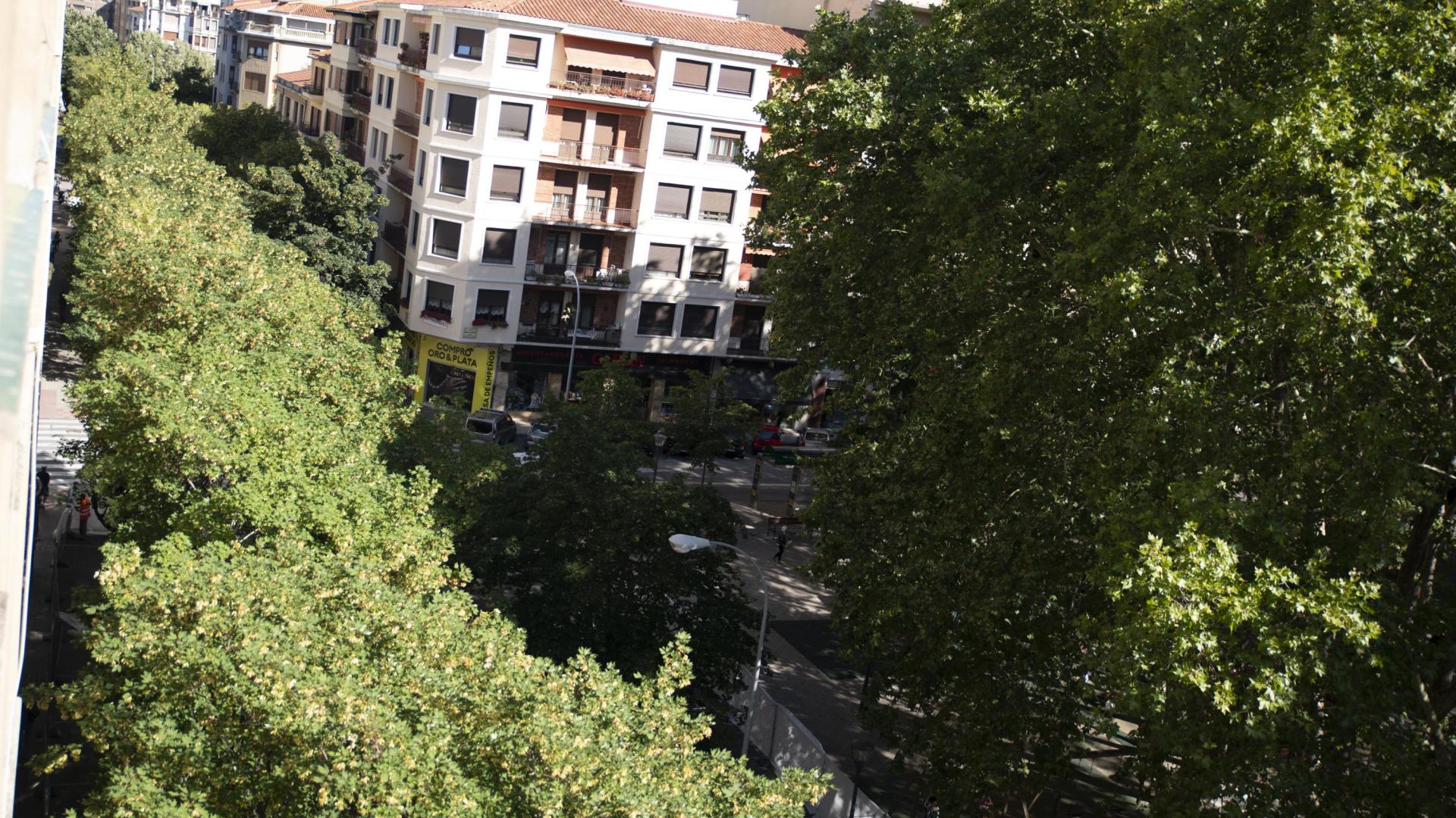 Vista de la calle Sangüesa desde un edificio de la plaza de la Cruz con algunos de los árboles que se talarán con el parking