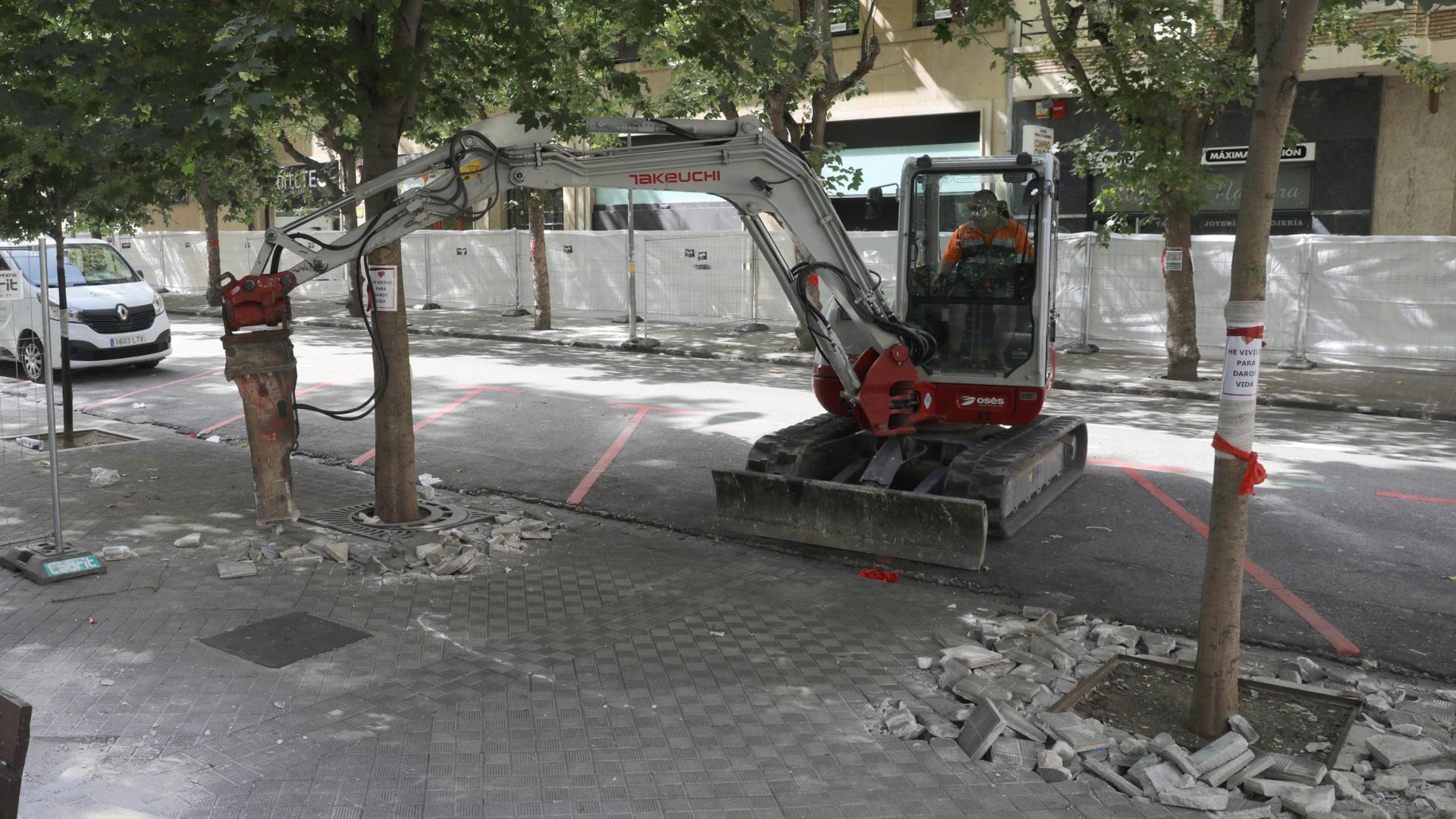 Un operario levanta el pavimento que rodea los alcorques de la plaza de la Cruz con un taladro neumático