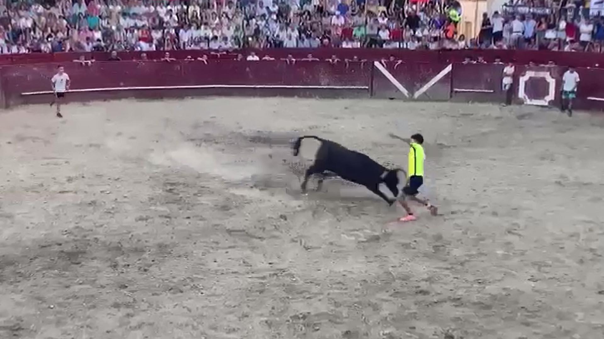 Una vaca coge y persigue al recortador tudelano Pablo Saso en Arguedas