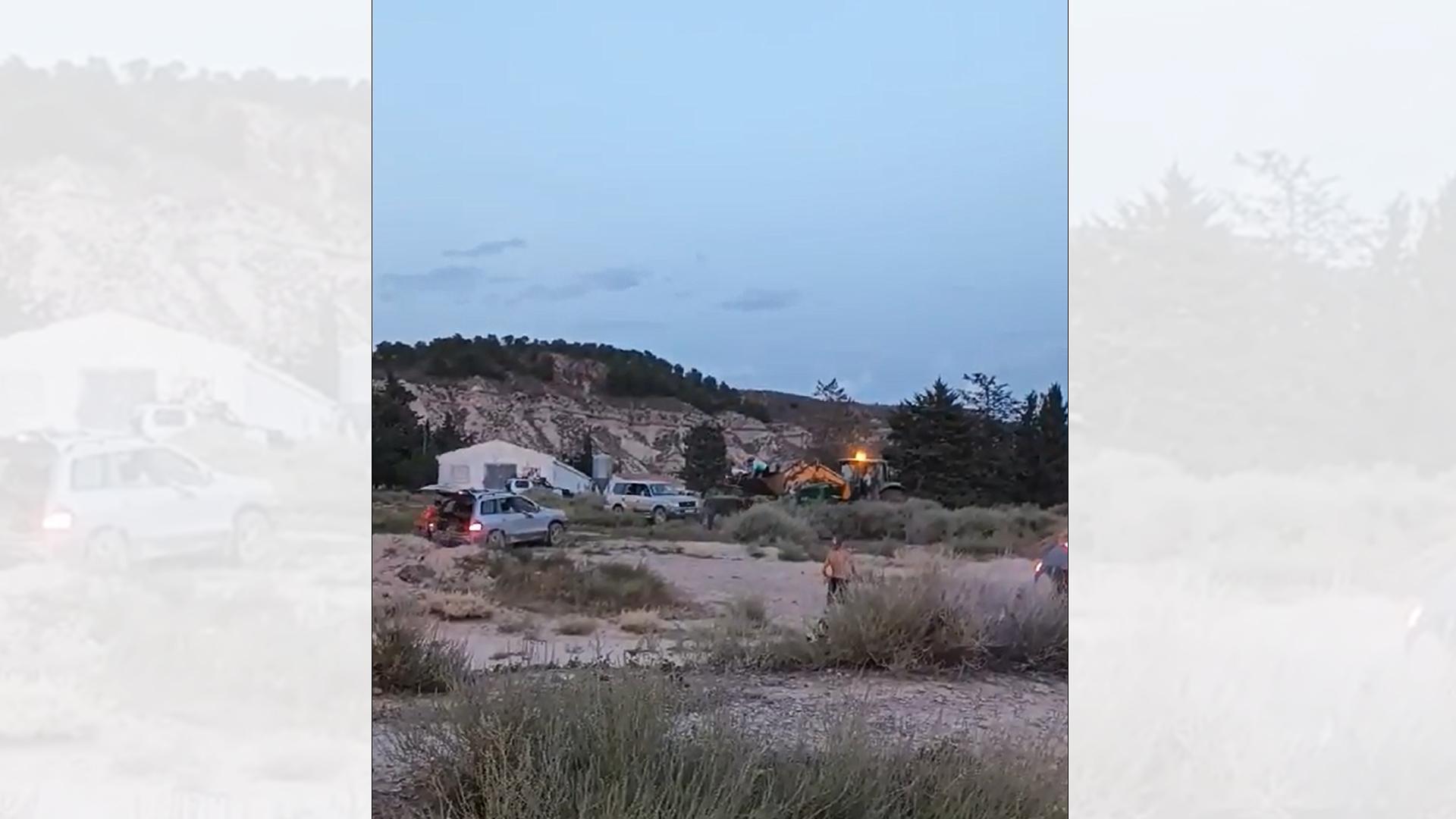 Toro capón suelto en Arguedas