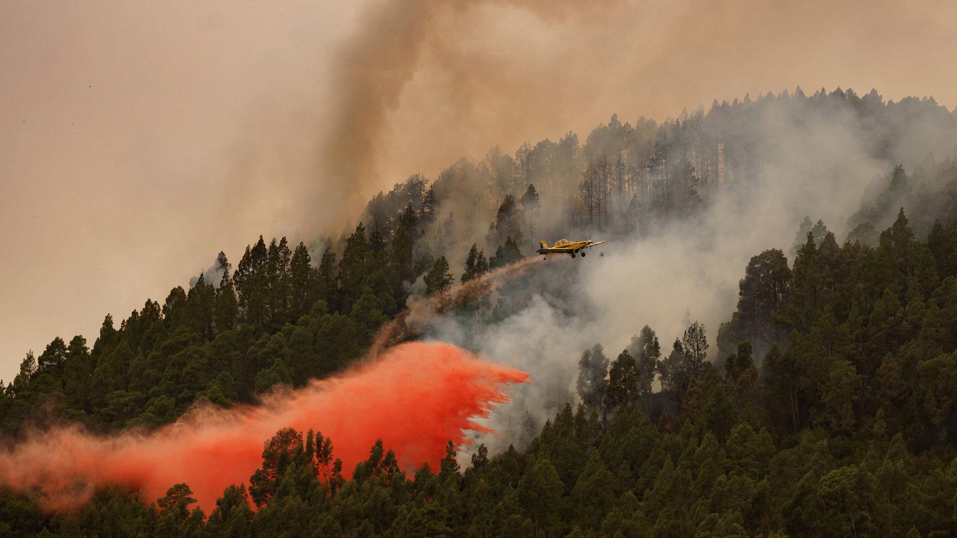 Corte total de accesos al Teide ante un incendio dinámico que sigue descontrolado