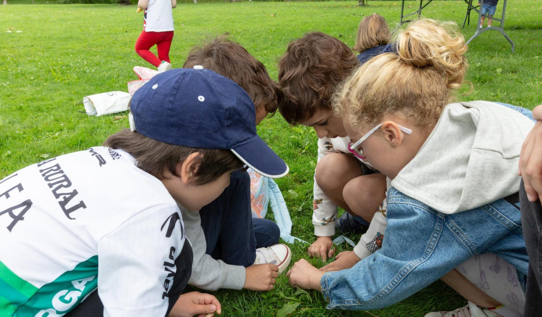 V edición de los campamentos del Museo de Ciencias Universidad de Navarra, conociendo la biodiversidad urbana