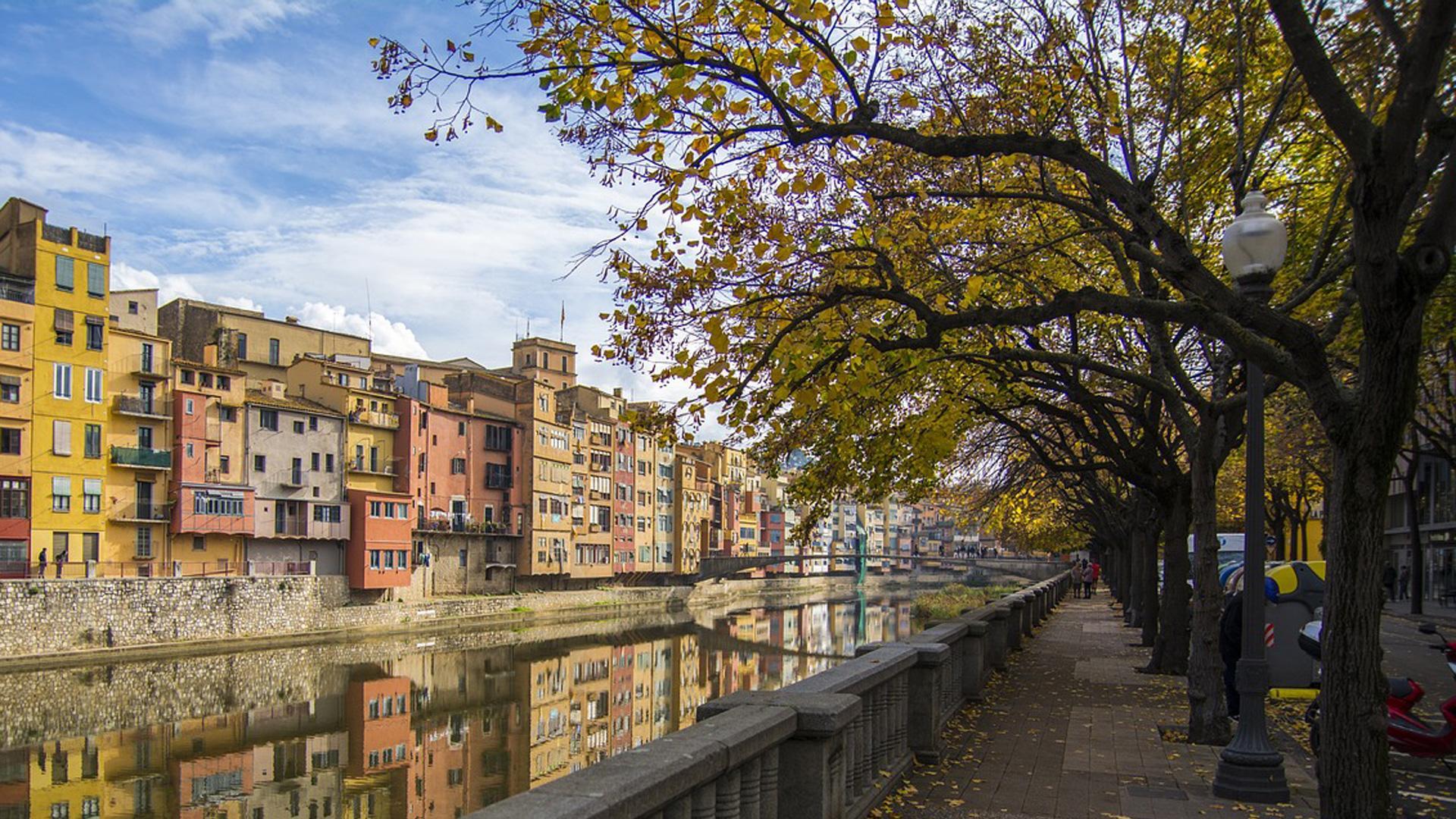 Paseo con árboles en Girona
