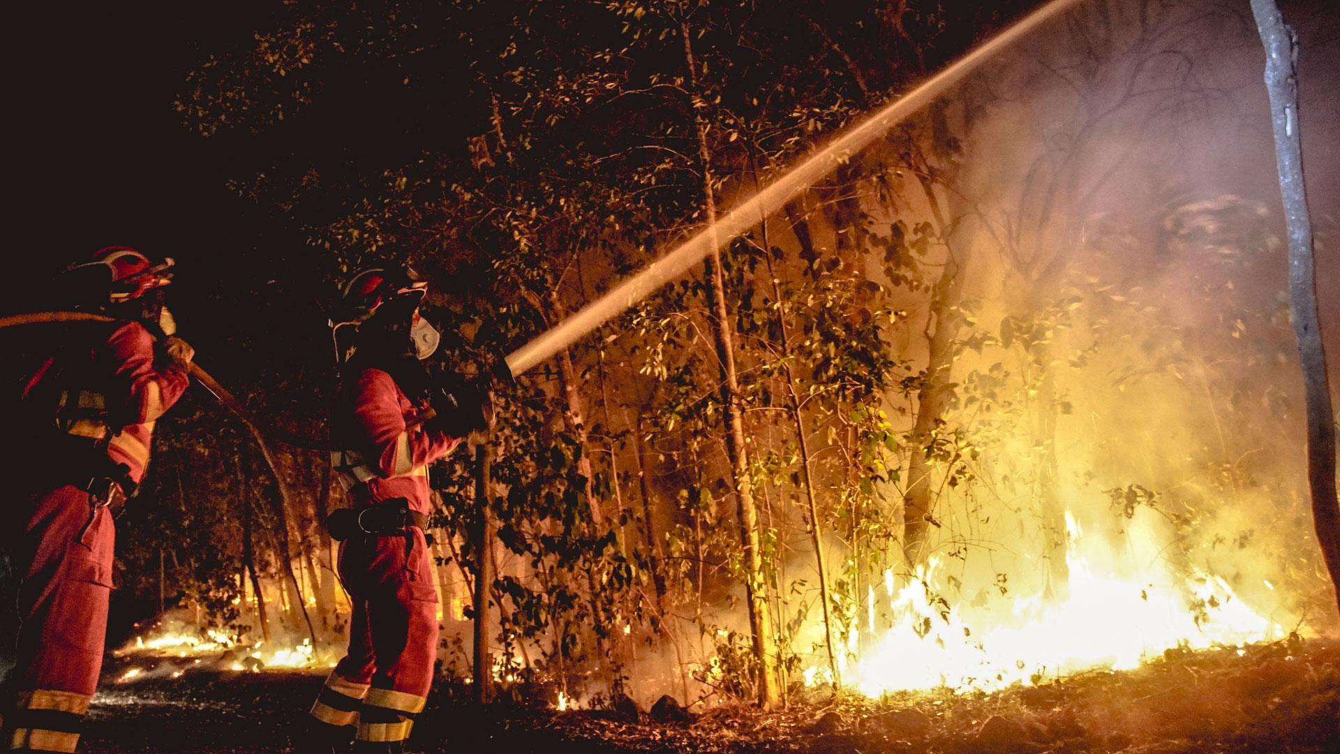 Efectivos de la UME en labores de extinción del incendio forestal que afecta a la isla de Tenerife, este sábado en las inmediaciones del municipio de Santa Úrsula