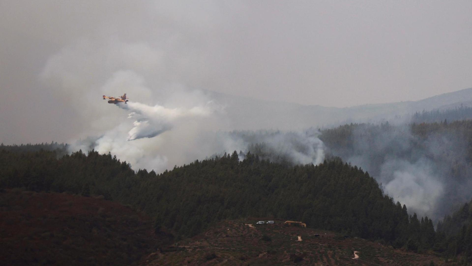 Un avión descarga agua sobre Guimar, en la isla de Tenerife
