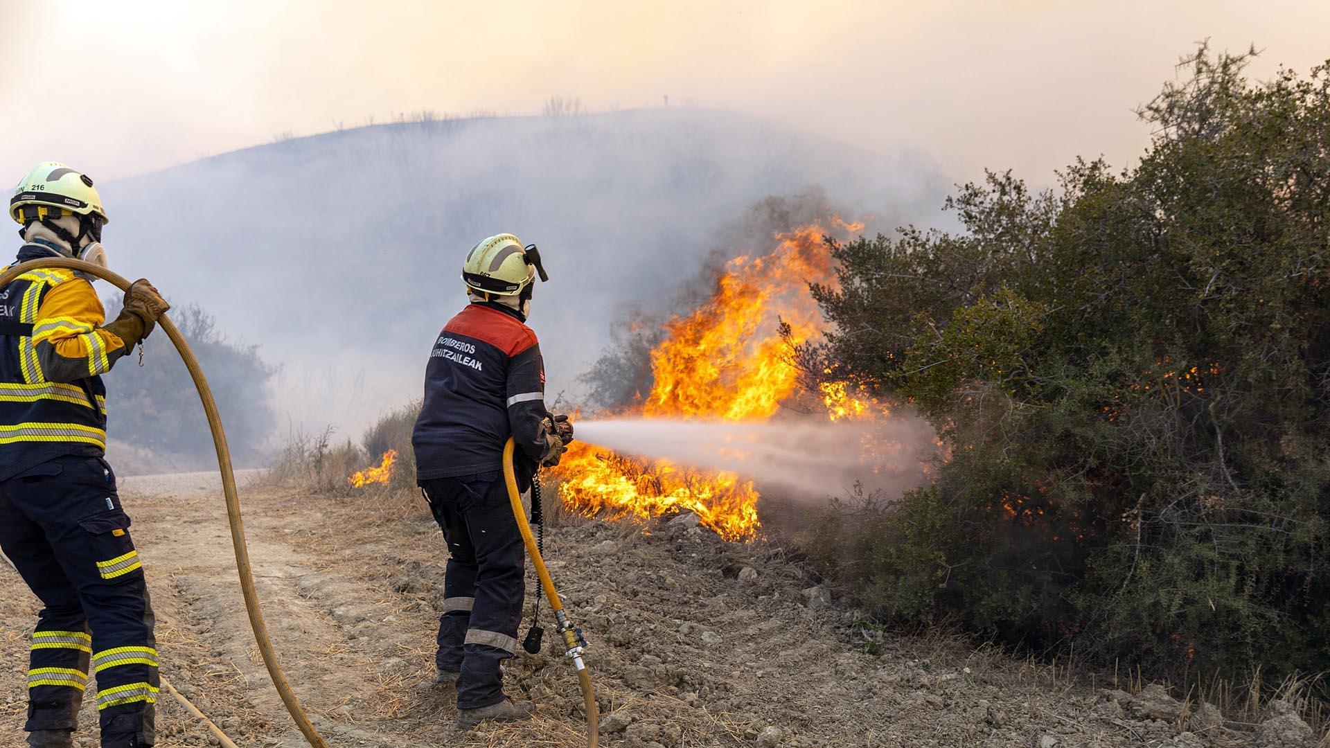 Fotos del incendio forestal en Valdizarbe. /