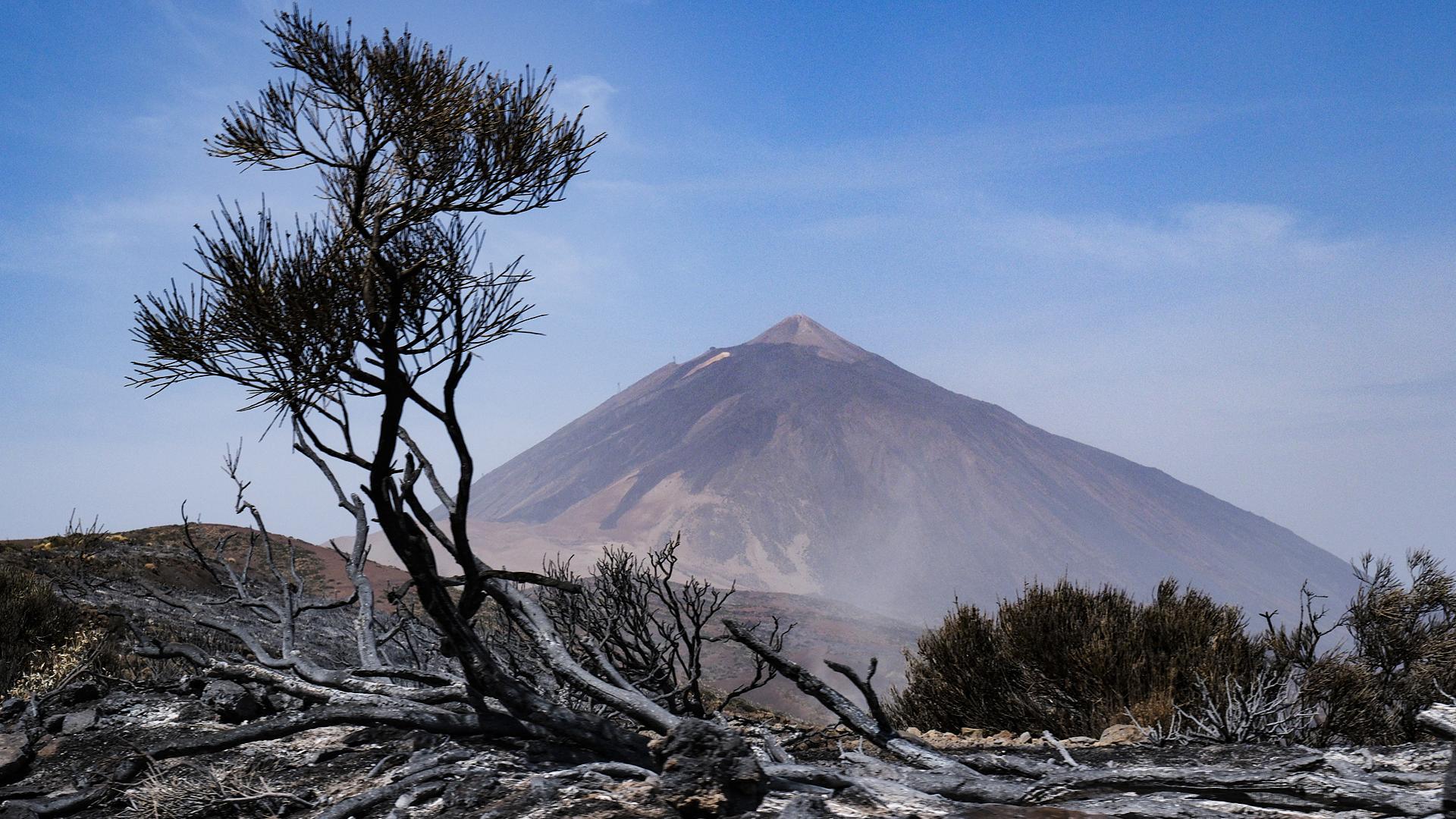 Efectos del incendio en el Parque Nacional del Teide