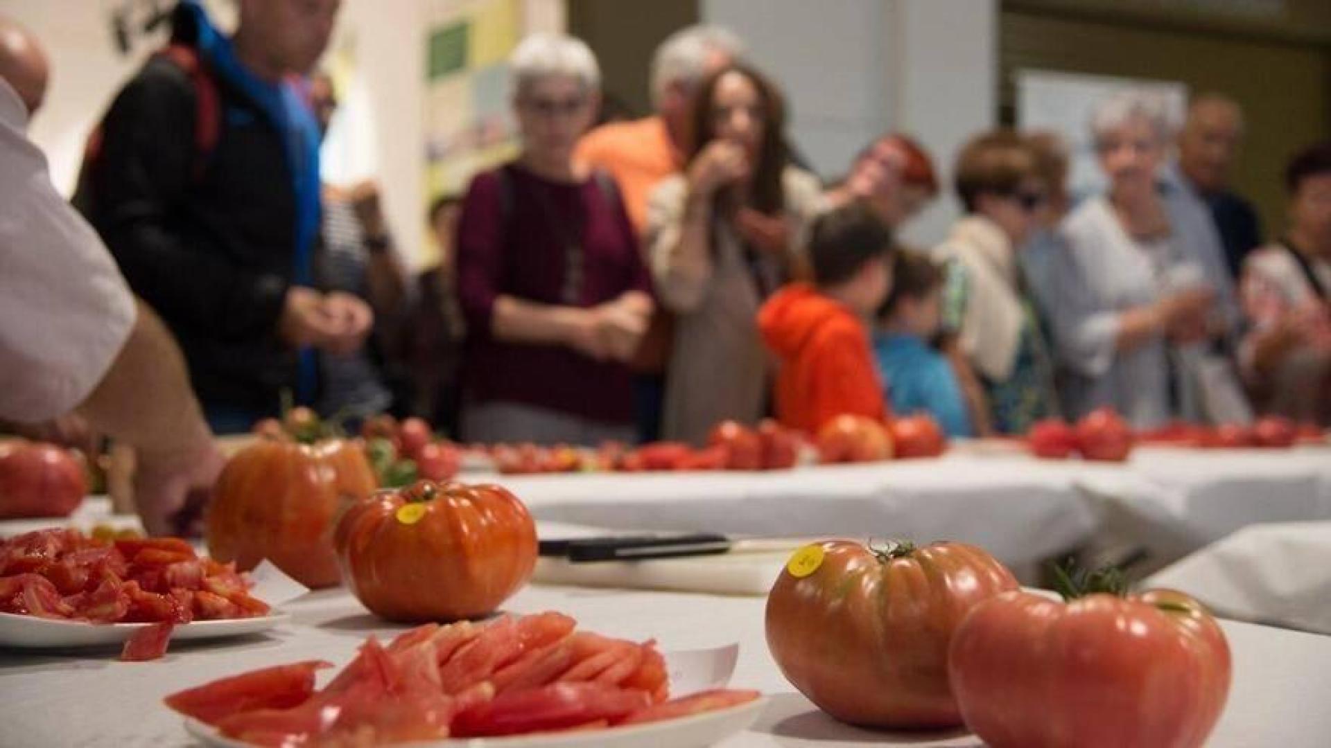 El EKOmercado de Geltoki se celebra hoy junto con el Concurso de Tomate antiguo, local y ecológico.