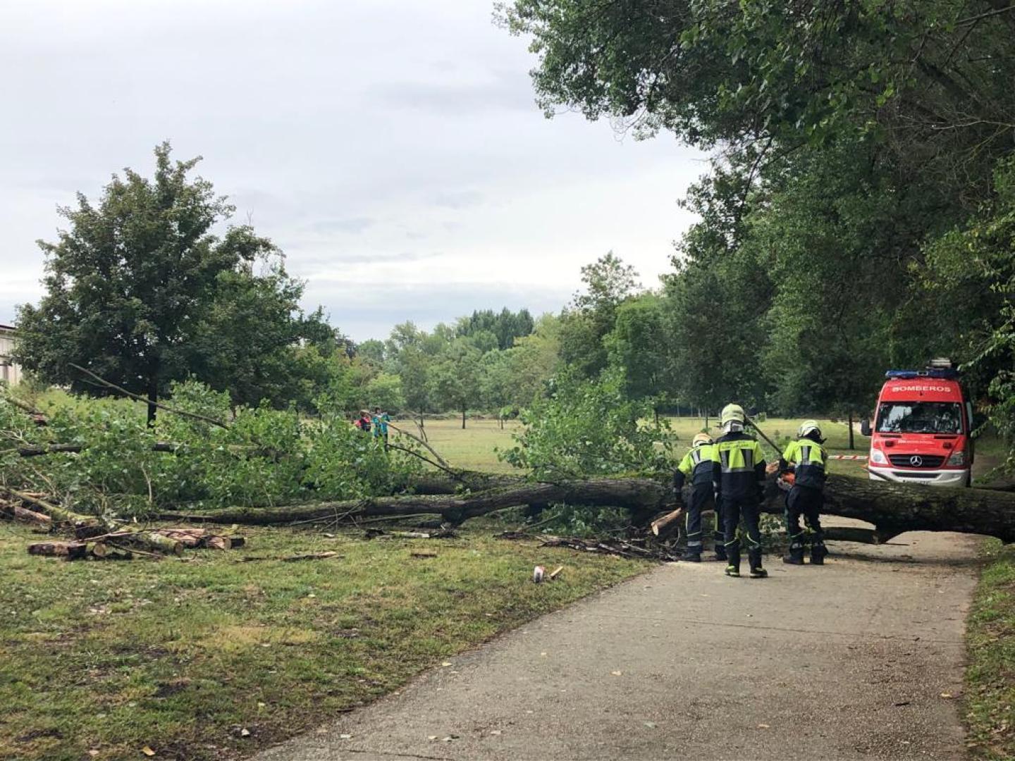Los bomberos trabajan la mañana de este domingo en el árbol caído en Esteribar