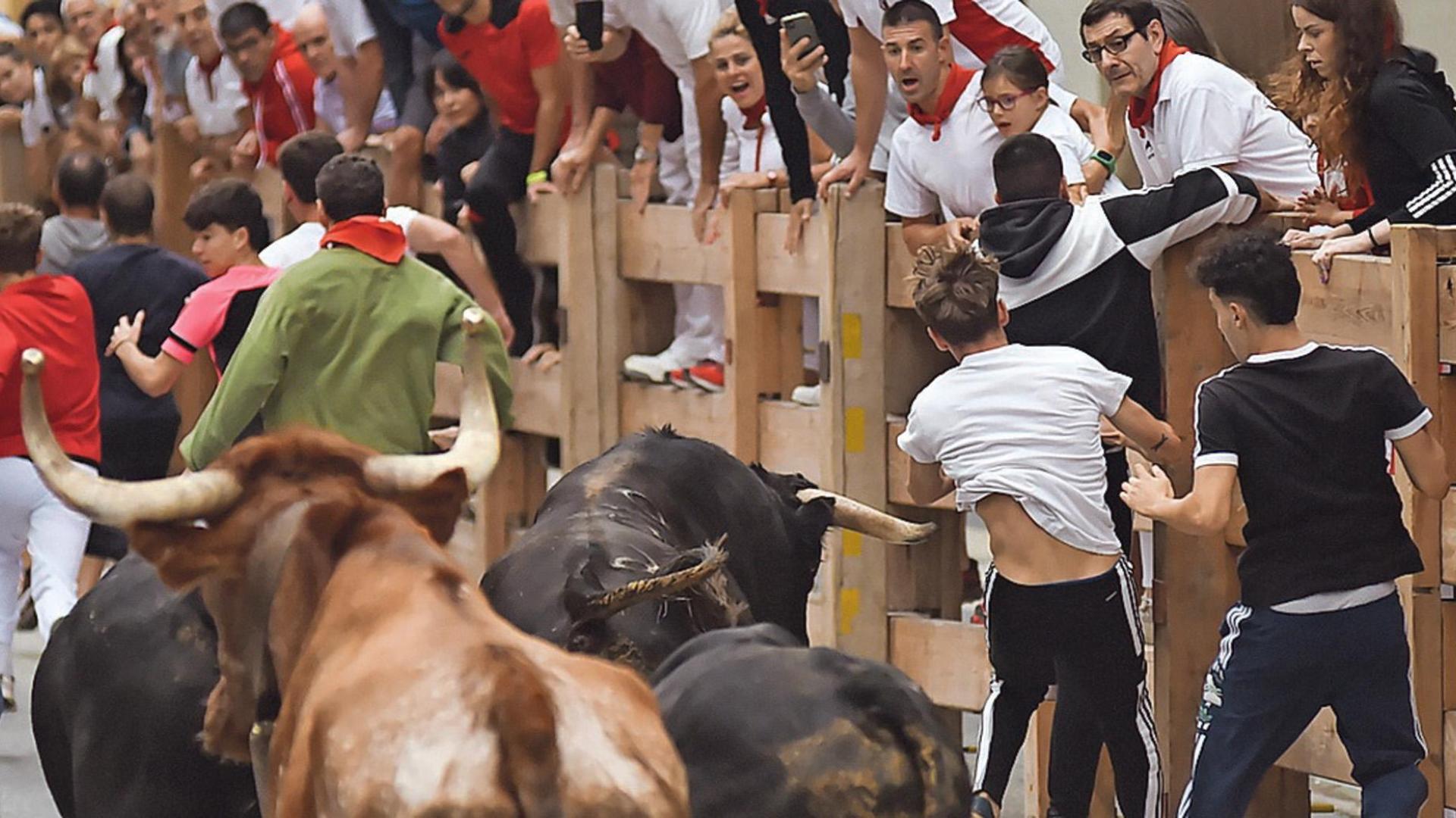El astado levanta la camiseta blanca del joven (derecha de la imagen) que se libró de la cornada