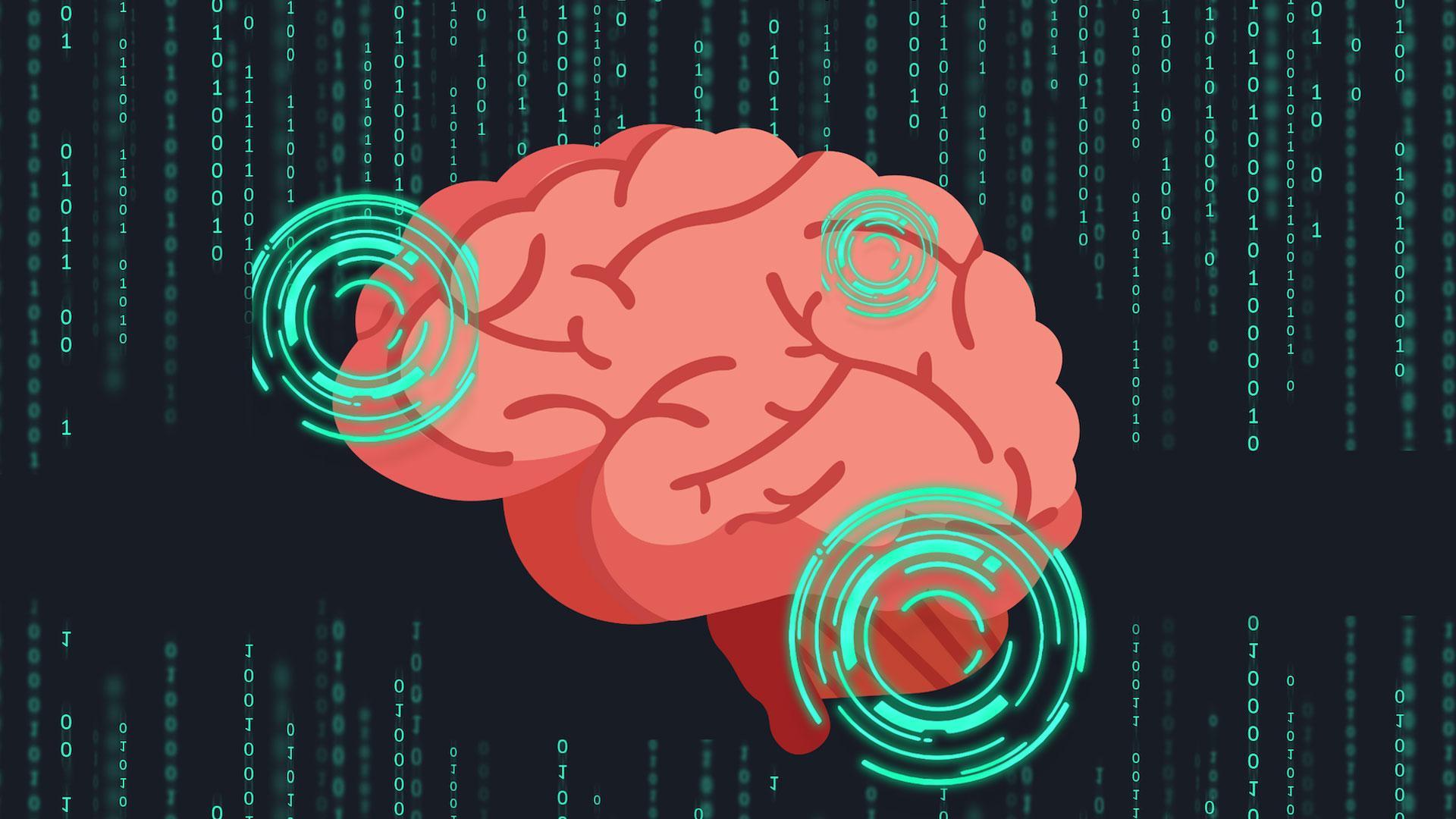 Nuestro cerebro es más vulnerable de lo que pensamos, especialmente por el consumo de drogas