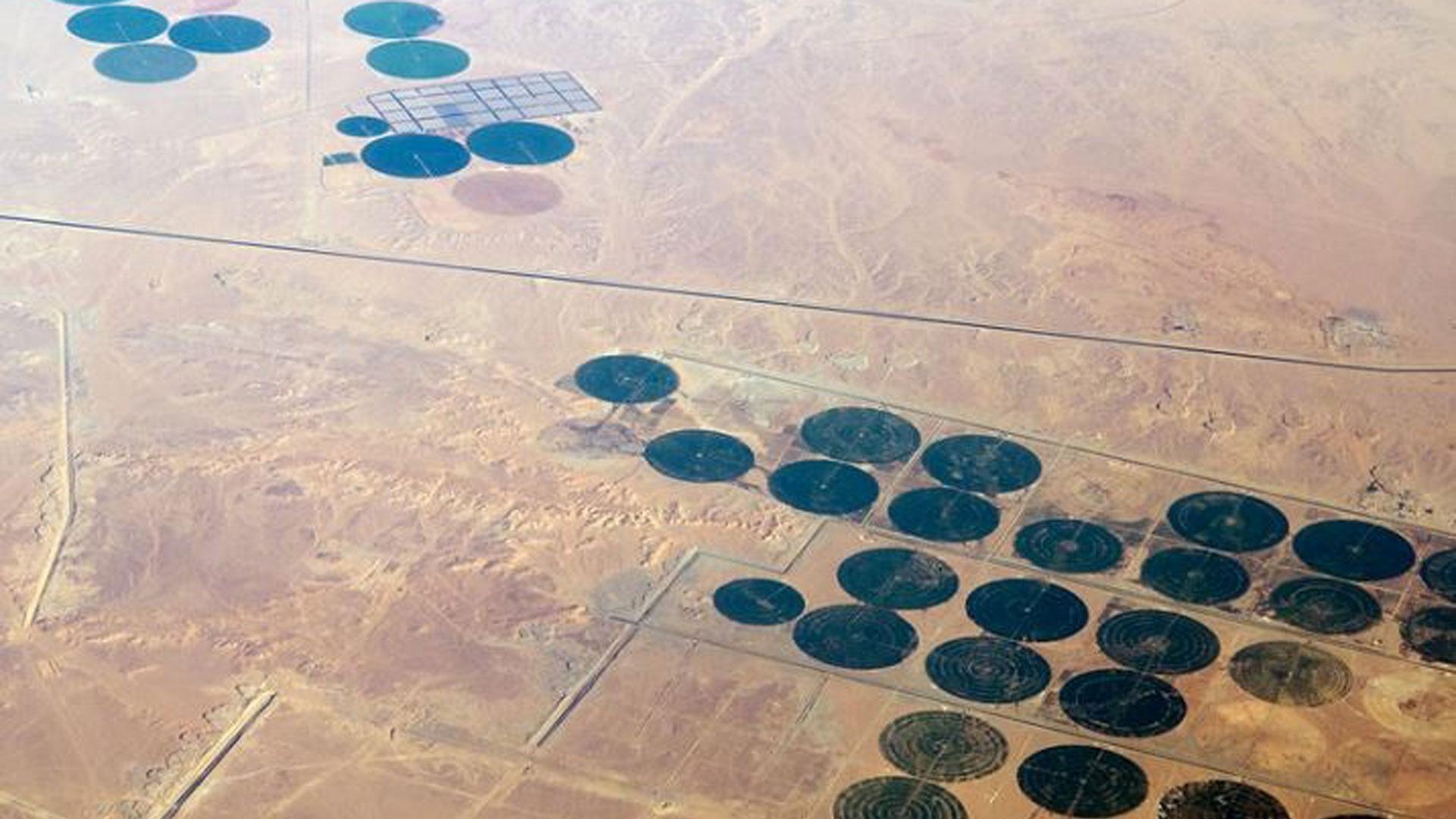 Las tierras áridas, como los desiertos, podrían ser una respuesta al problema de la captura de carbono, según sostiene un grupo de expertos