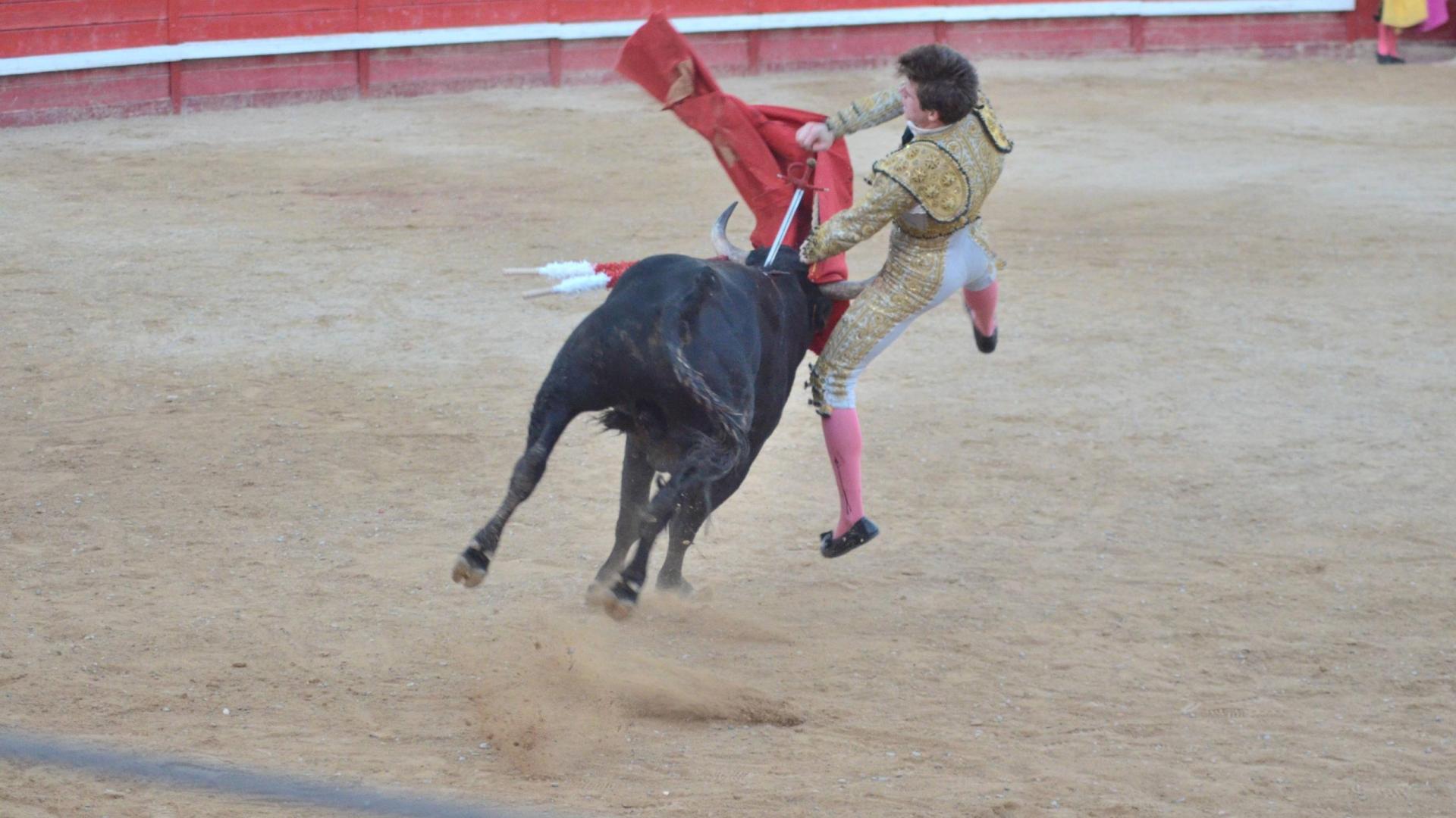 El novillero navarro Bruno Martínez recibe una cornada al entrara matar al novillo Alondro nº 6 de la ganadería de Emilio Galán Trilla en la novillada sin picadores celebrada en Sangüesa el 30 septiembre 2023.  Foto: Mariano Pascal