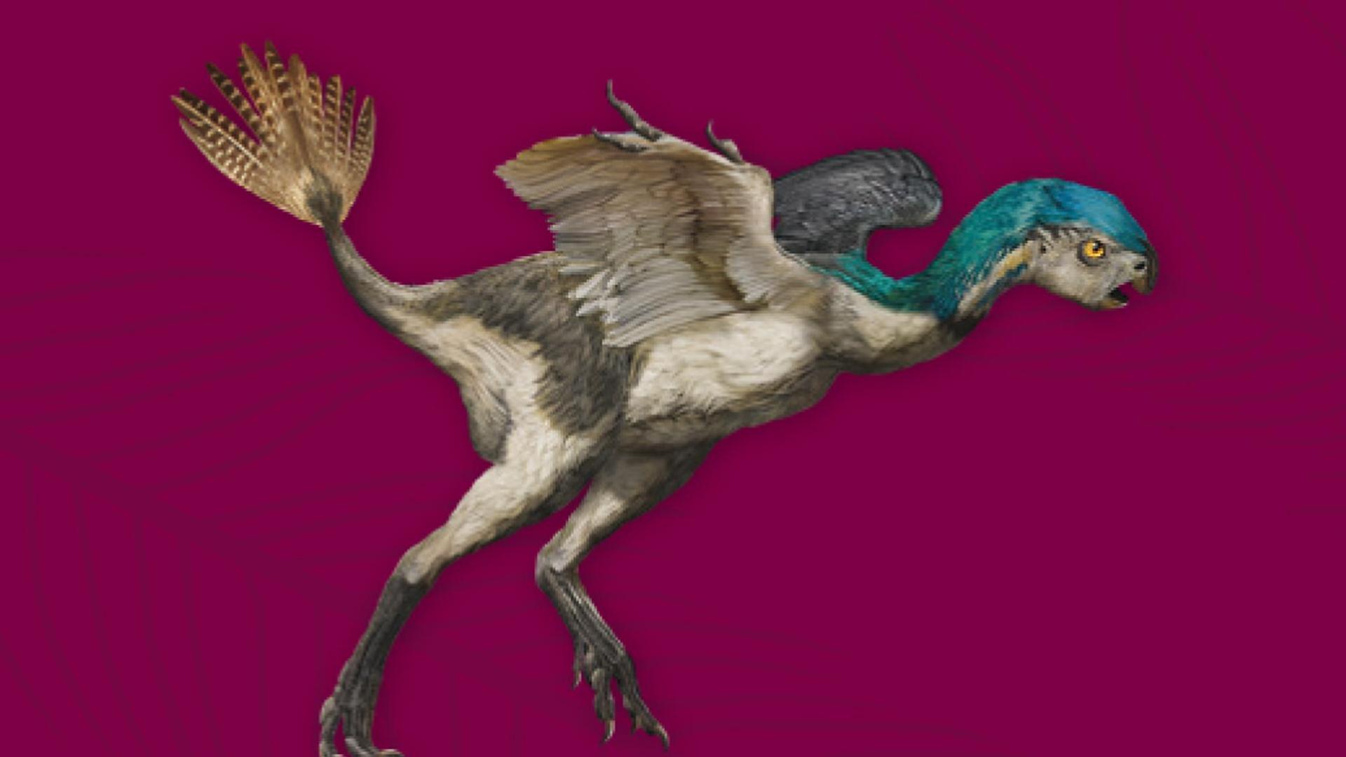 Imagen del folleto explicativo de la muestra