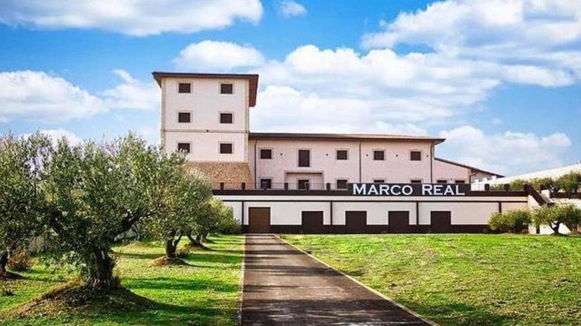 Bodegas Marco Real en Olite