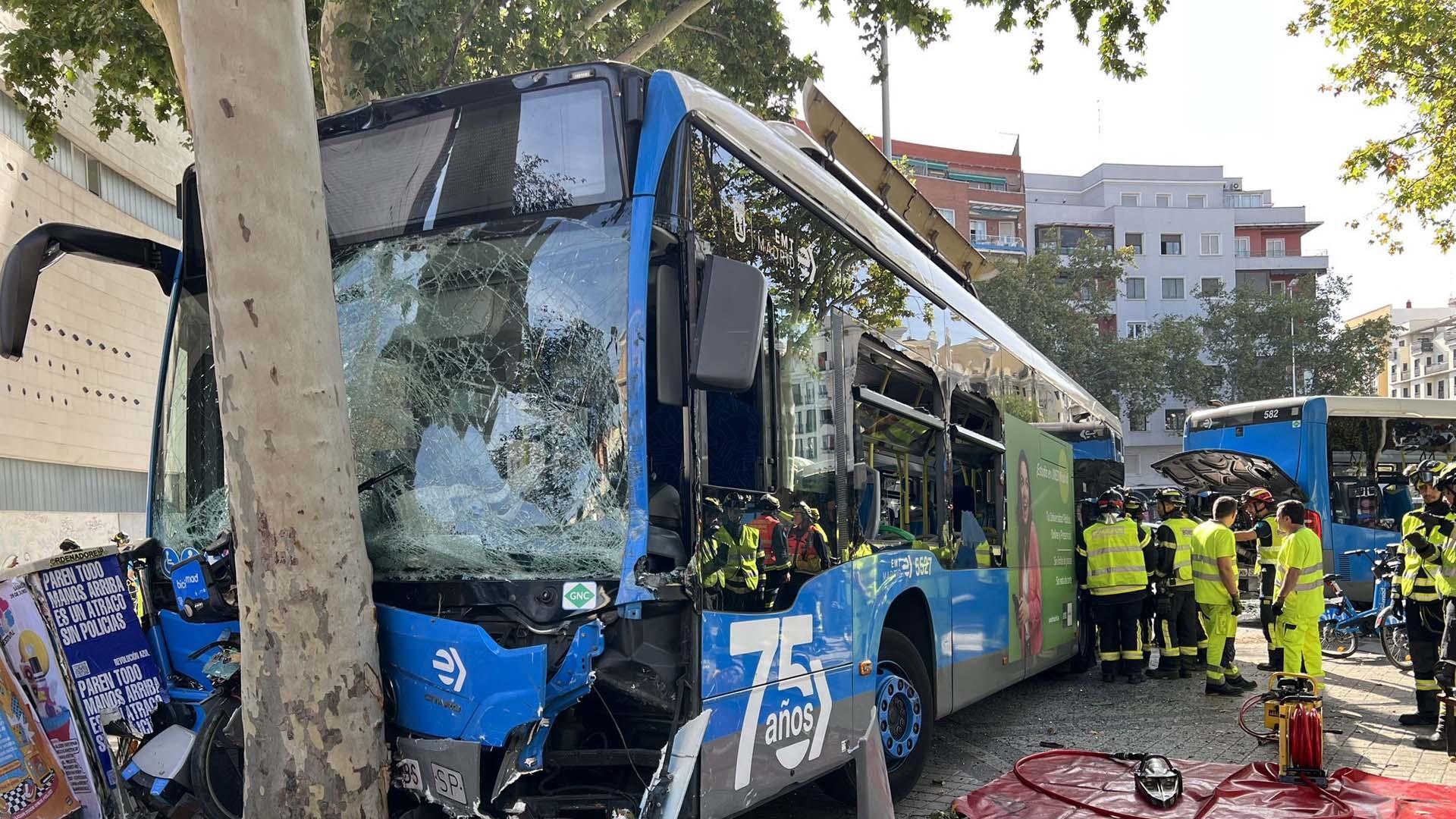 El autobús ha acabado chocando contra un árbol