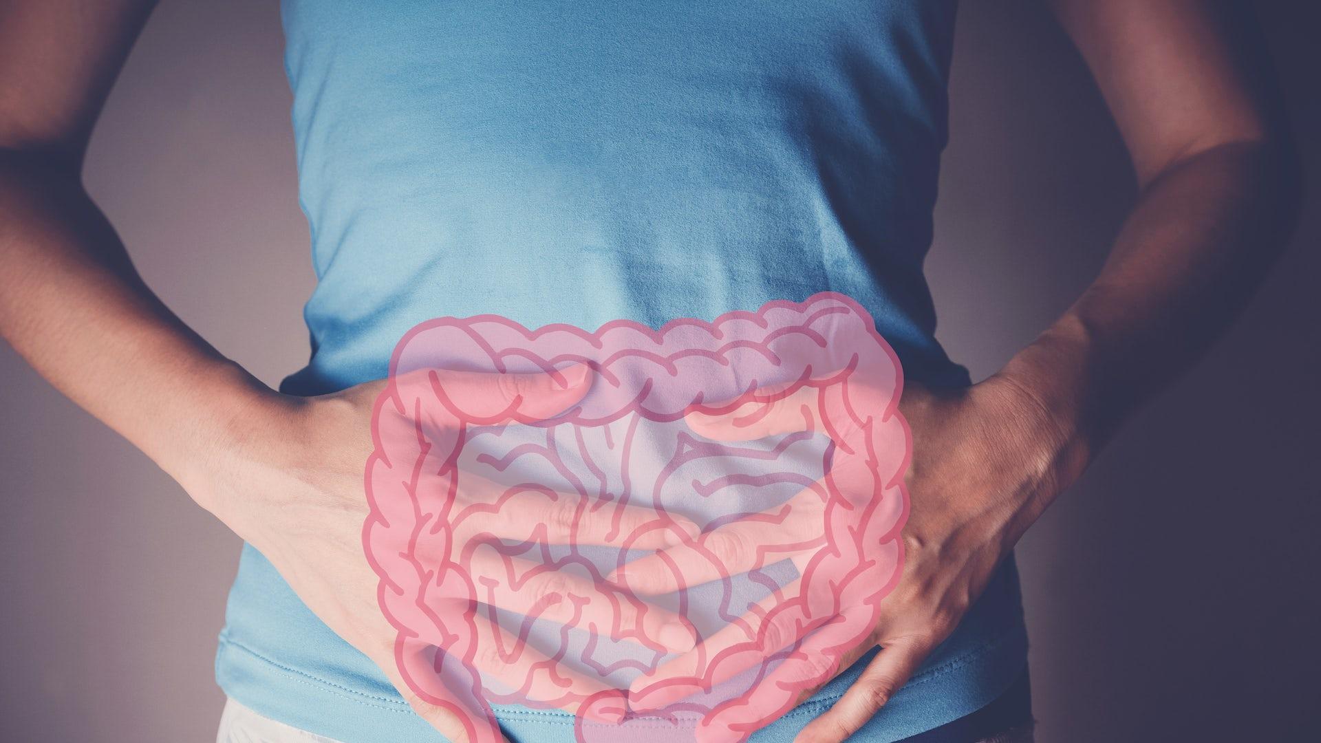 Según el tipo de alimento que pongamos en el plato, crecerán unas bacterias u otras en nuestro intestino