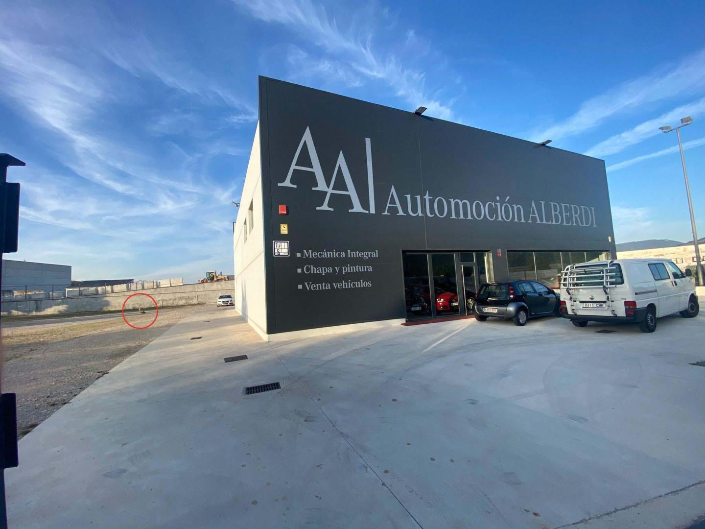 El buitre, señalado en la imagen con un círculo rojo, junto a las instalaciones de Automoción Alberdi