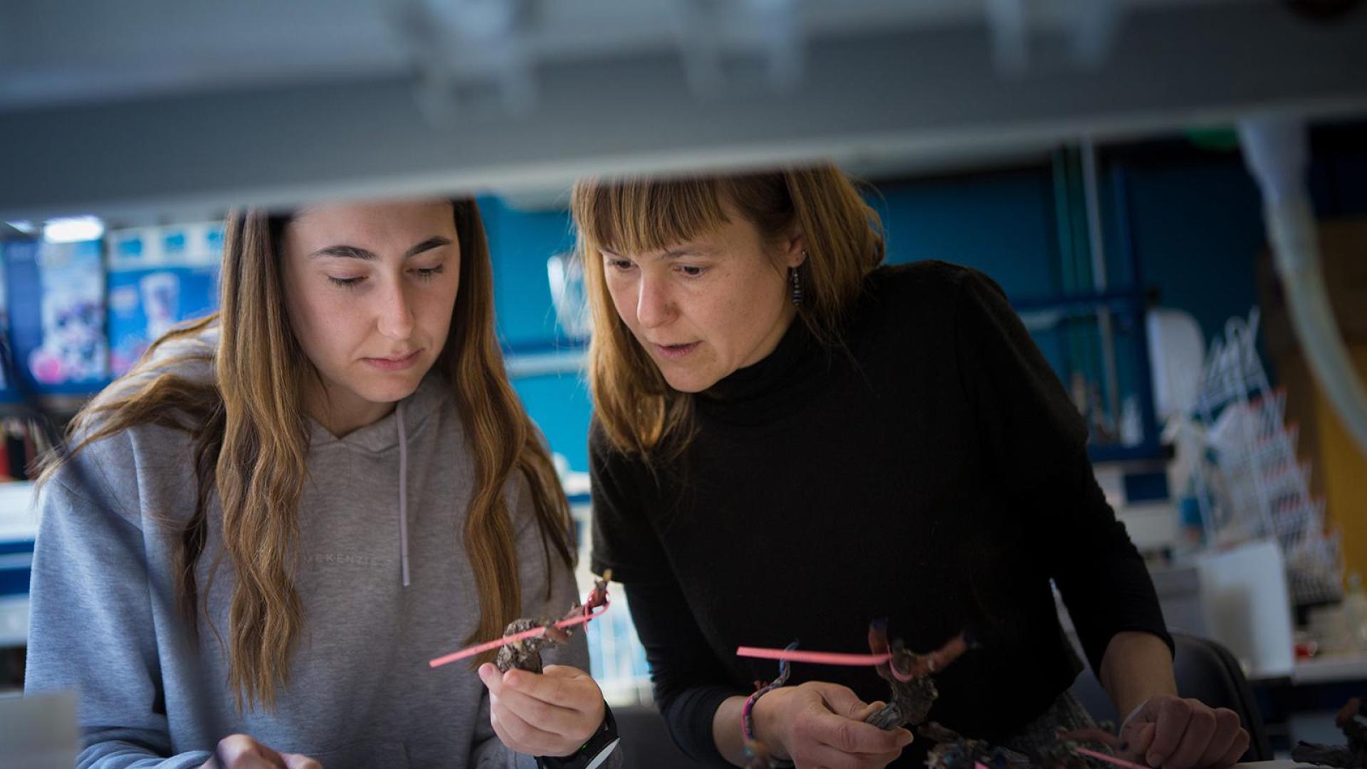 Estudiantes trabajando en un laboratorio