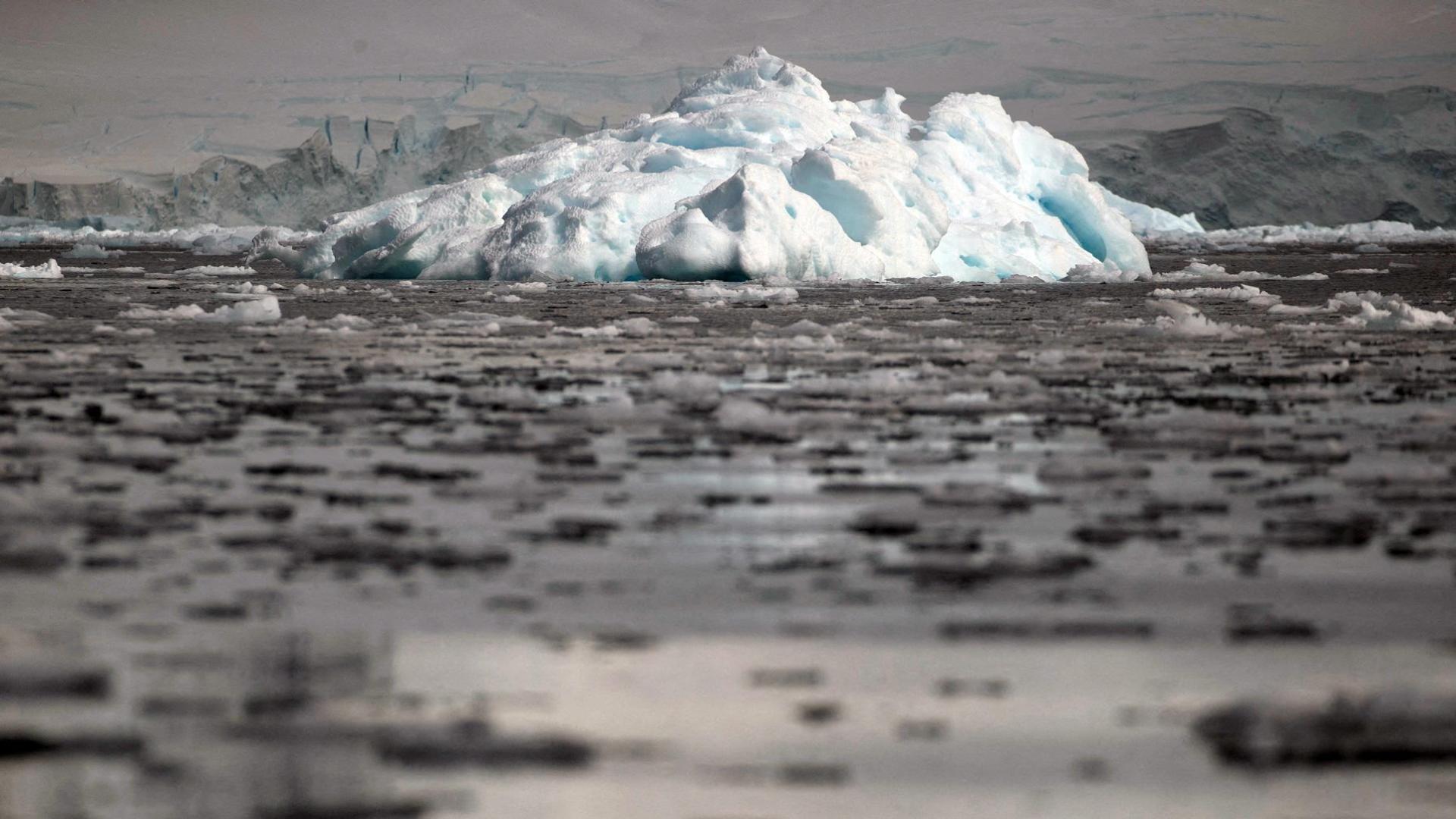 Trozos de hielo flotan cerca de la Bahía Fournier,en la Antártida