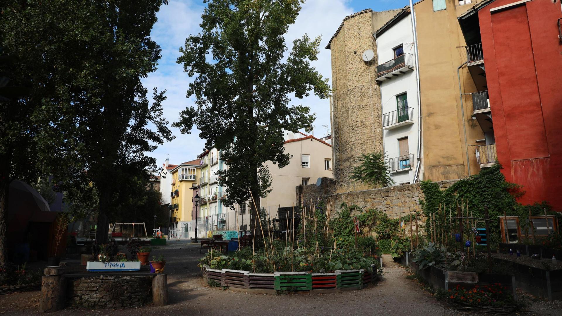 *A: JOSE CARLOS CORDOVILLA 
*F: 15-09-2022
*P:  
*L: PAMPLONA 
*T: HUERTO DE LA PLAZA SANTA ANA