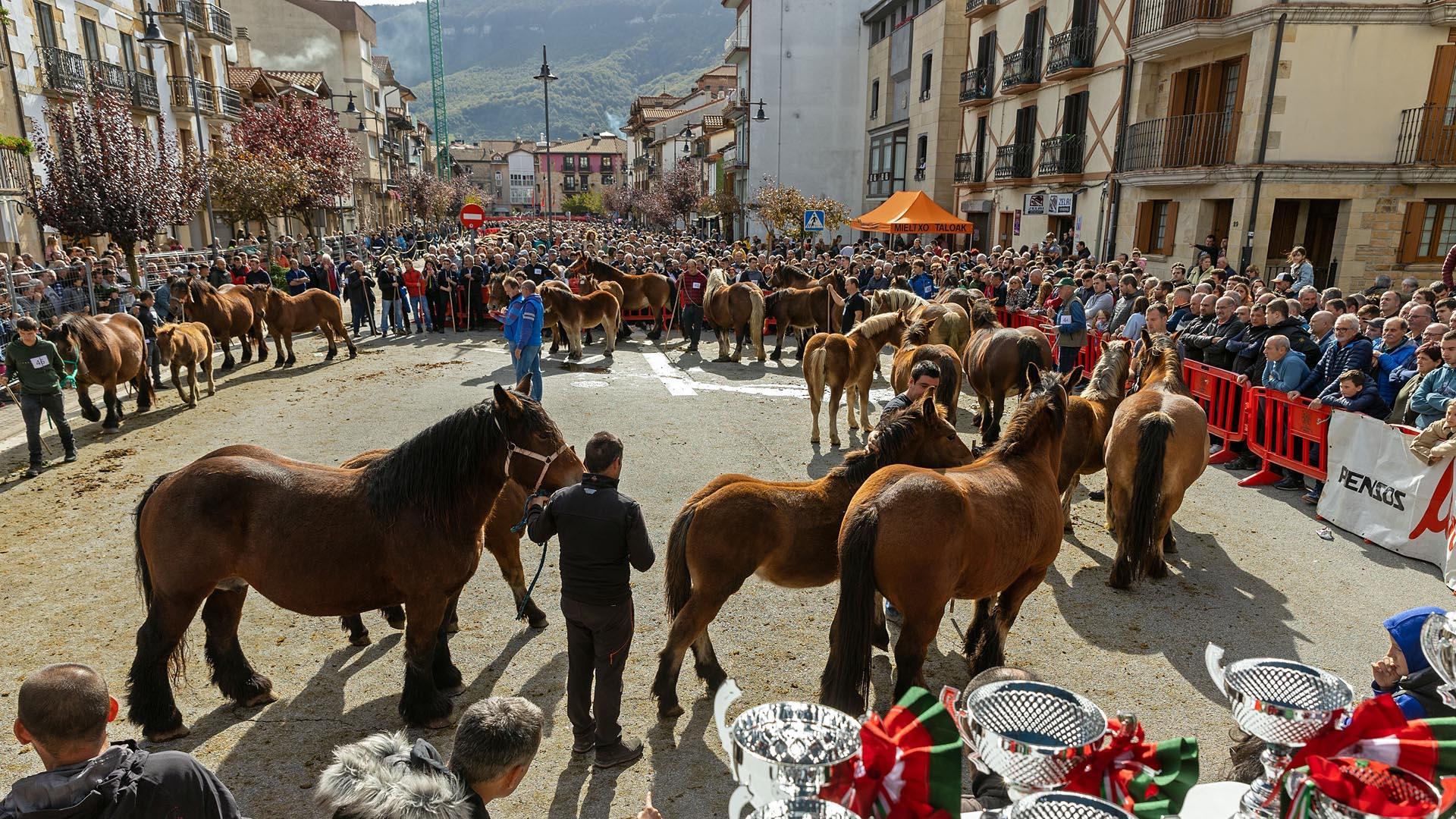 Imágenes de las Ferias de Alsasua