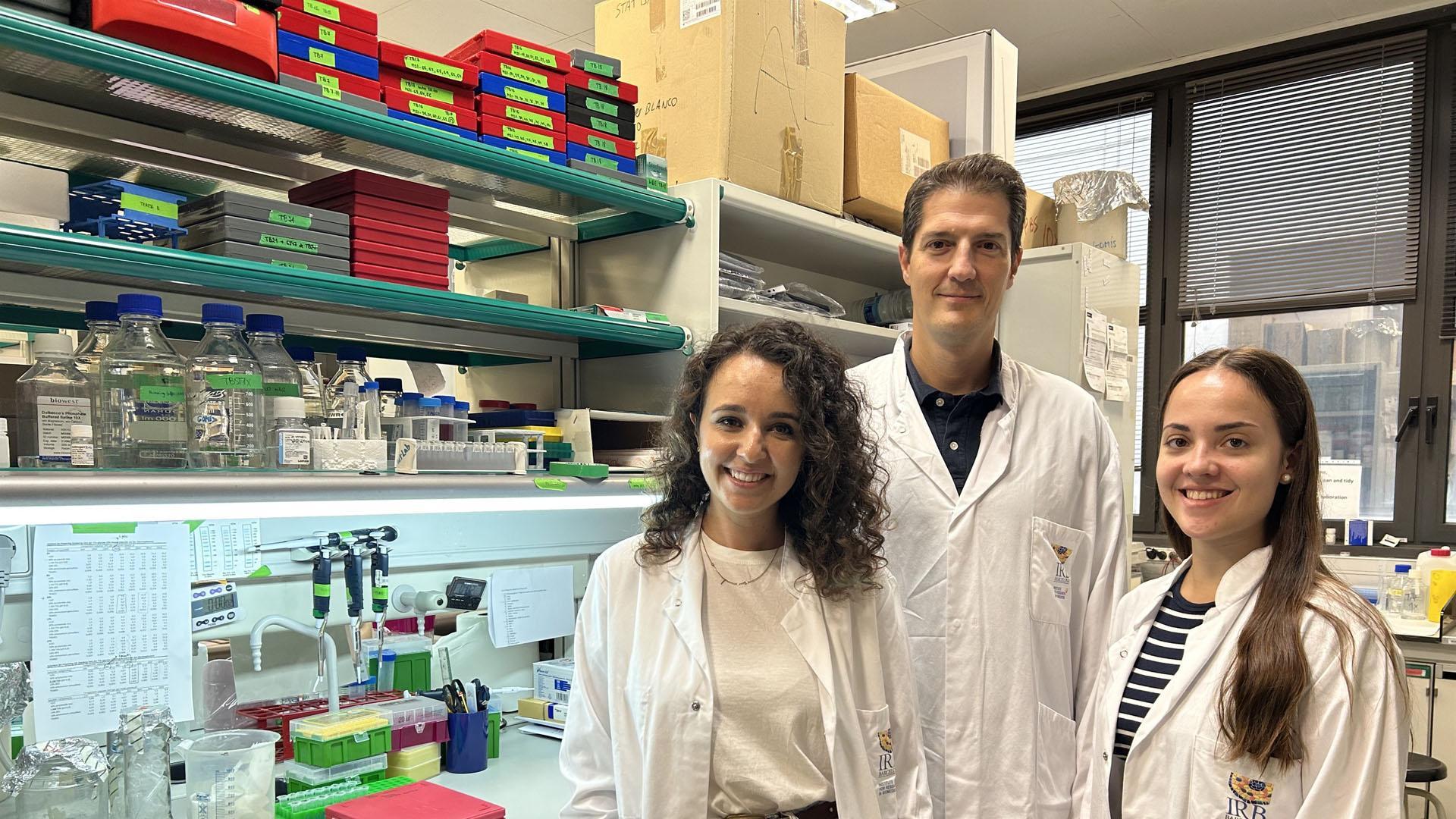 Miembros del equipo investigador del IRB Barcelona
05/10/2023