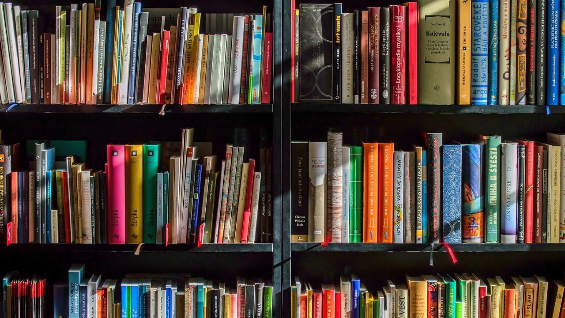 Imagen de archivo de unas estanterías con libros