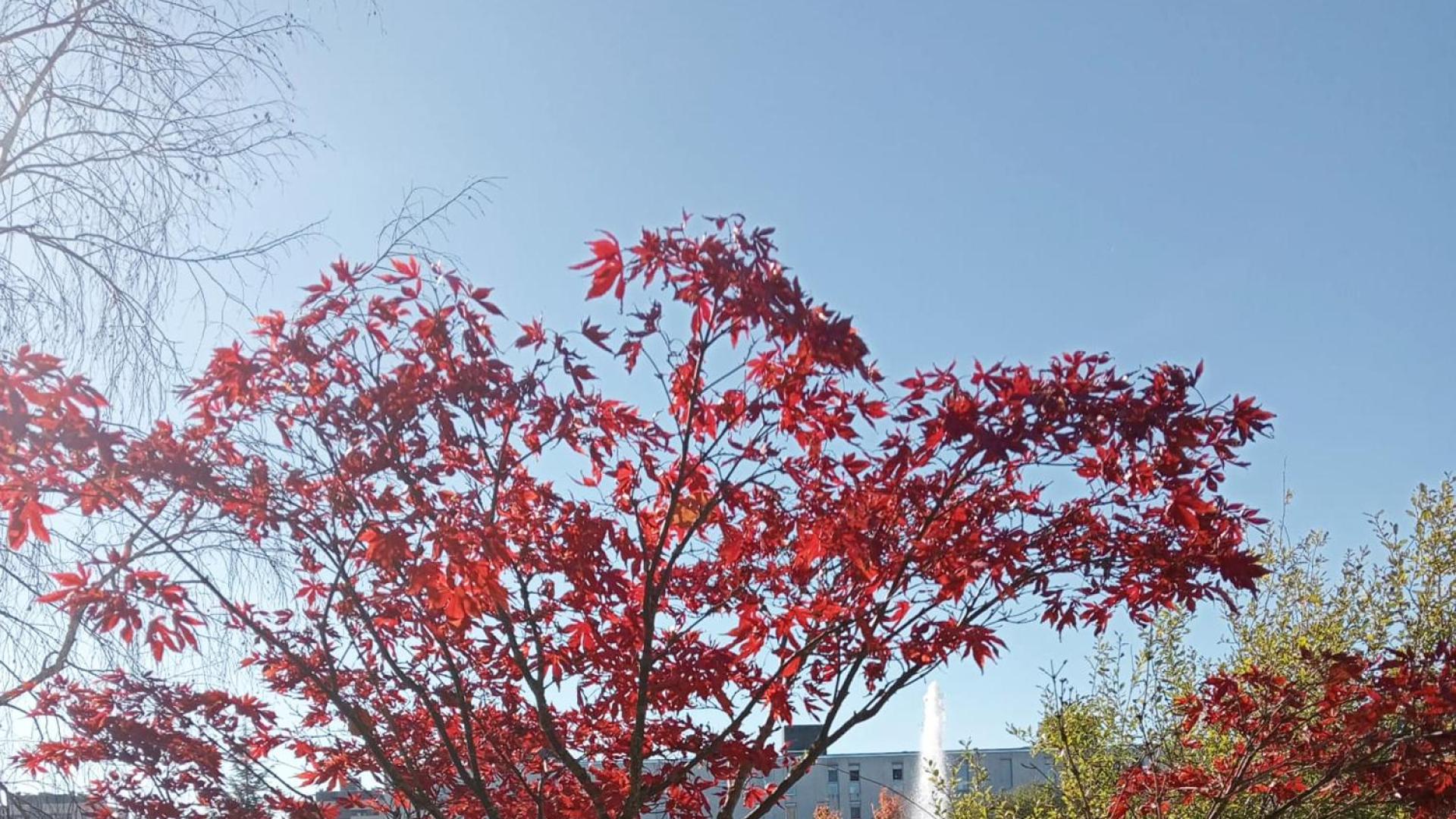 Otoño