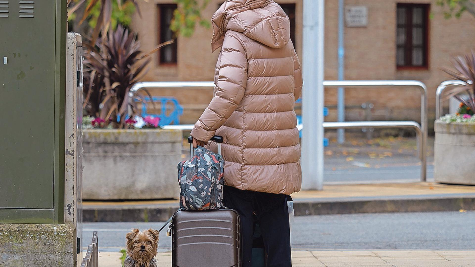 Una mujer en una calle de Estella con su pequeño perro