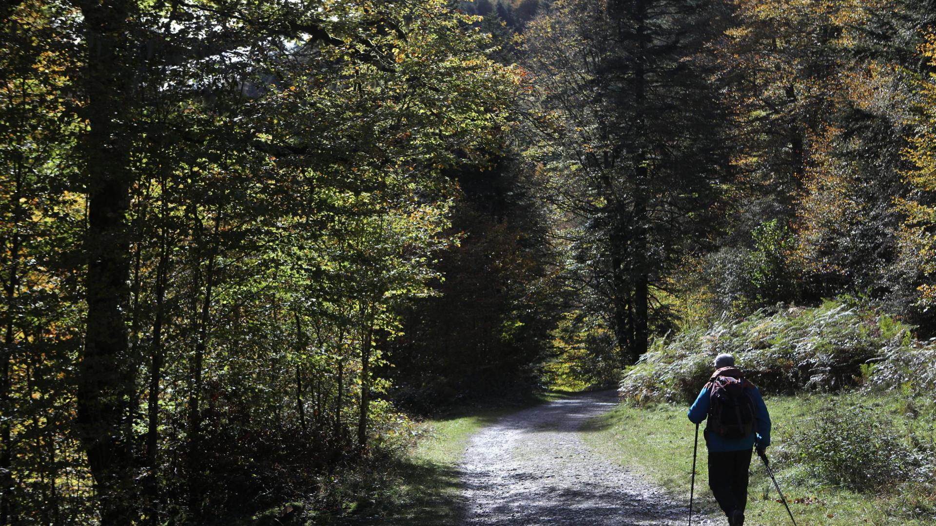 El senderismo, junto a las carreras por montaña, una de las principales actividades en la federación