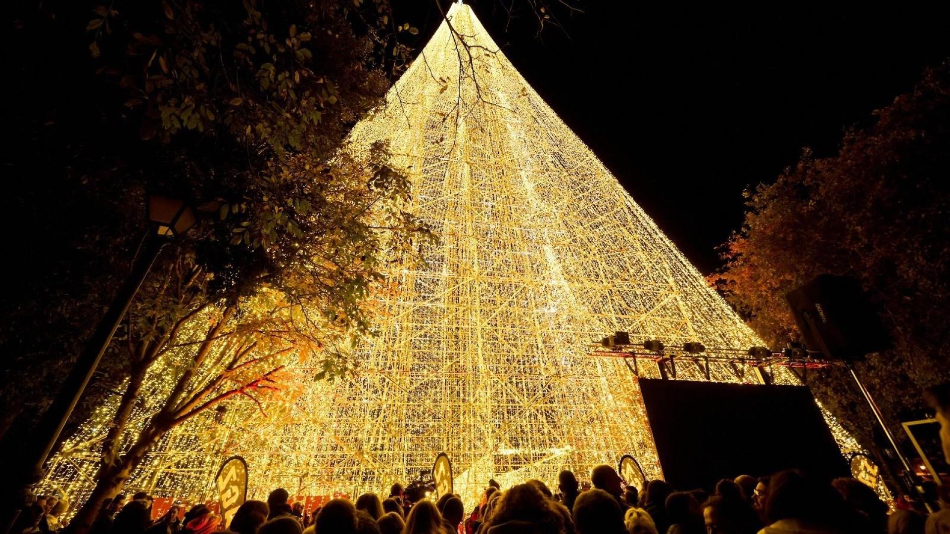 Encendido del árbol de Navidad más alto de España, en el municipio de Cartes

JUANMA SERRANO-EUROPA PRESS

05/12/2023