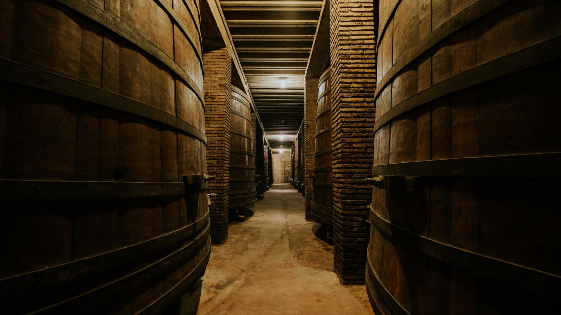 Gran Feudo está consolidada una de las bodegas más emblemáticas de Navarra.