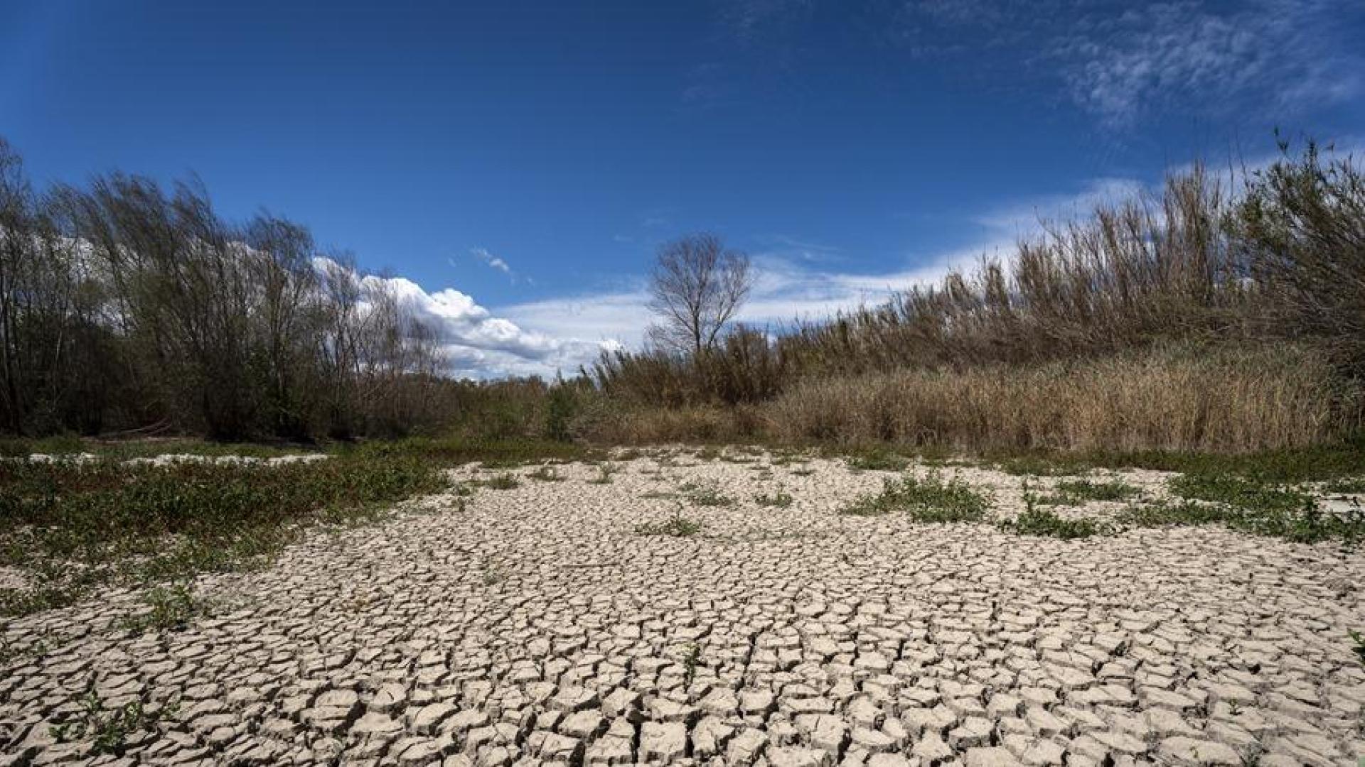 Aspecto del río Muga a su paso por Peralada (Girona) debido a la sequía de Cataluña